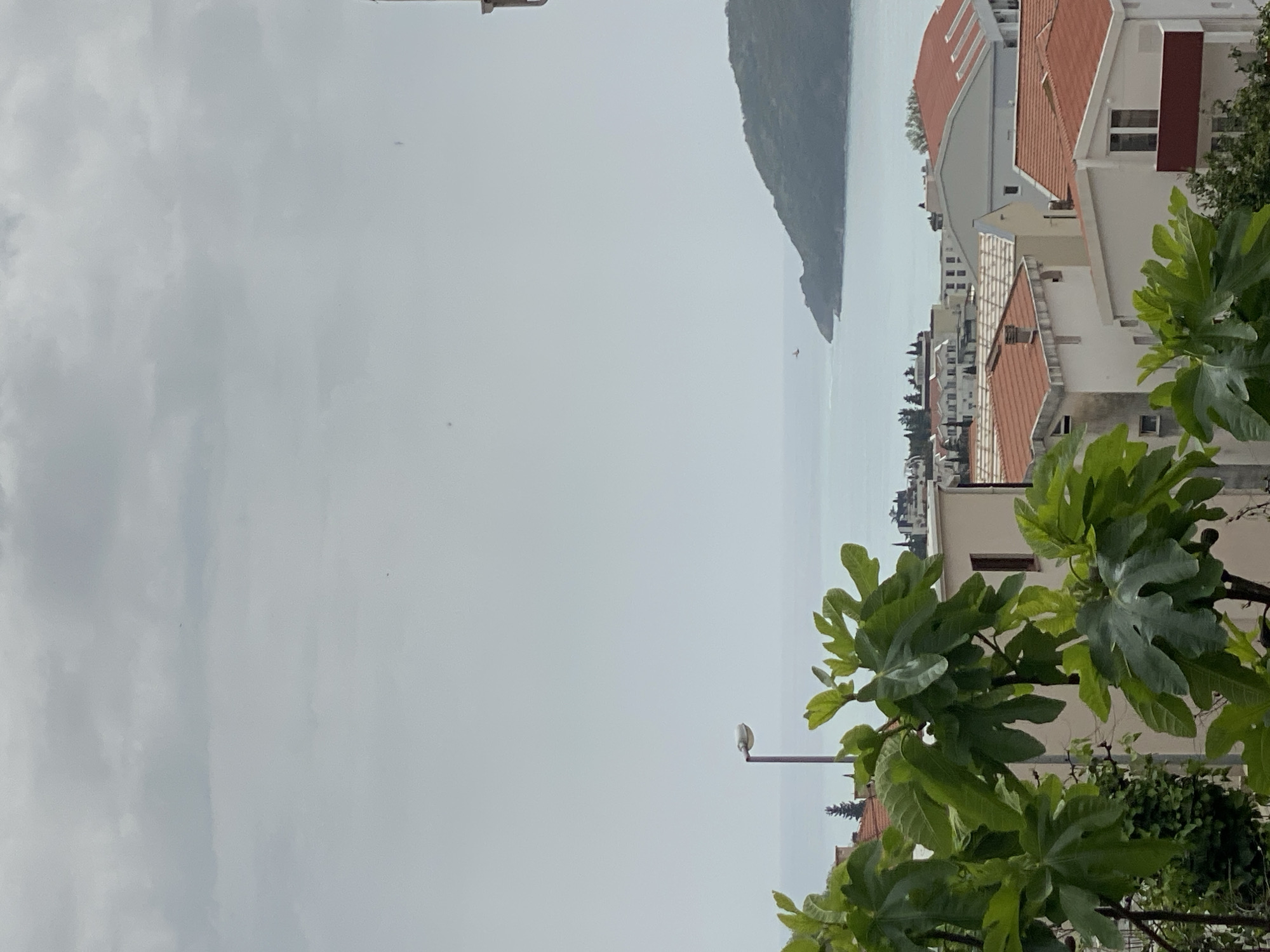 The image shows a view in Budva, Montenegro, overlooking the sea. In the distance, a mountain meets the water. Closer to the viewer are buildings with orange rooftops, interspersed with trees and foliage. A lamppost is visible, and large green leaves are prominent in the foreground. The sky is overcast, contributing to a soft, diffused light.