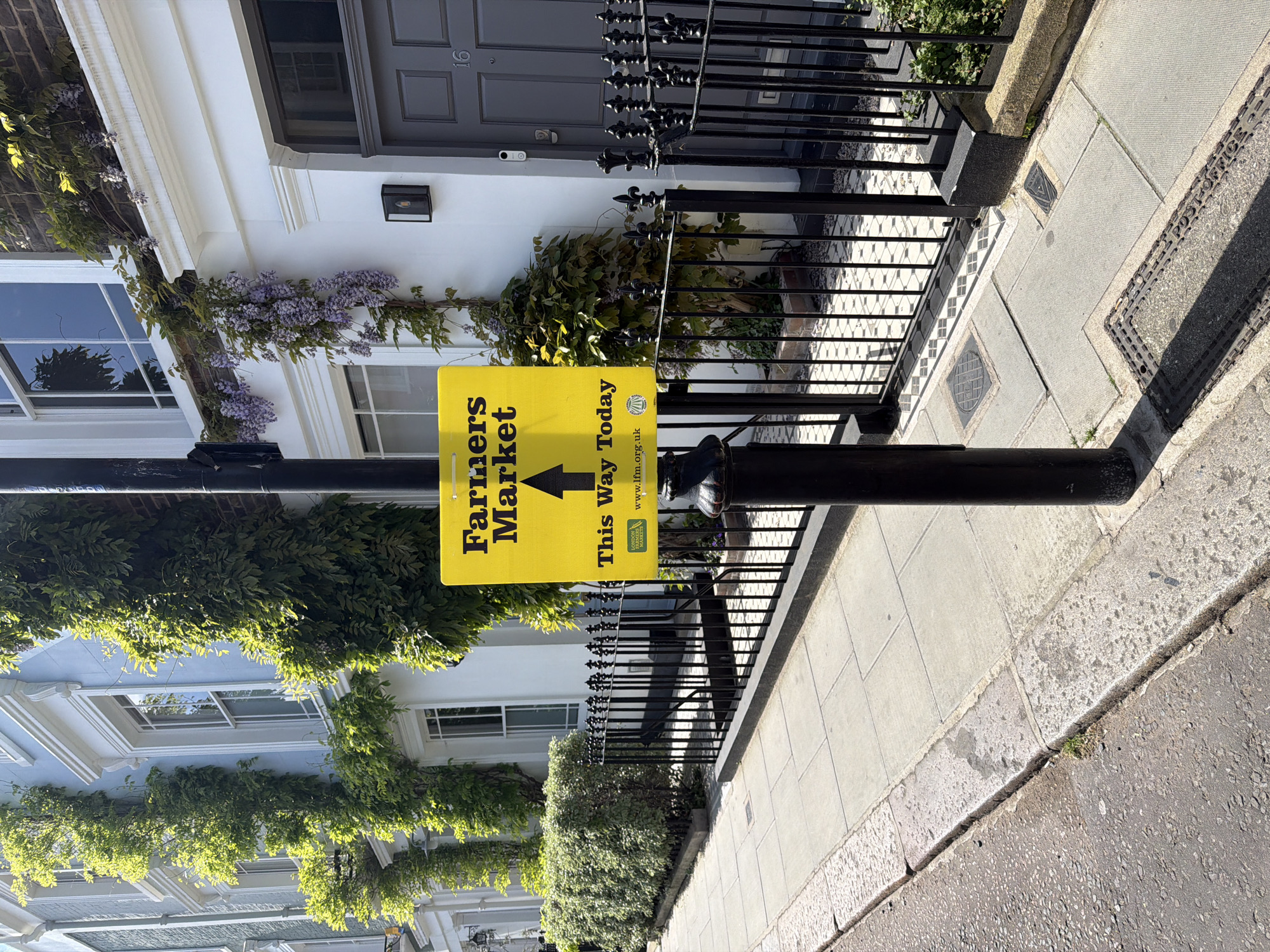 The image presents a street scene likely in a residential area of London, United Kingdom. The main focus is a yellow sign attached to a black metal post, indicating "Farmers Market" with an arrow pointing to "This Way Today." The sign also includes the URL "www.lfml.org.uk." Behind the sign, there are residential buildings with architectural details like windows, doors (one marked with the number 16), and black wrought-iron fences. Vines and greenery, including wisteria with purple flowers, adorn the buildings. The sidewalk is made of light-colored paving stones, and there's a metal street access cover visible in the pavement. The lighting suggests a sunny day. There are no people visible in the frame.