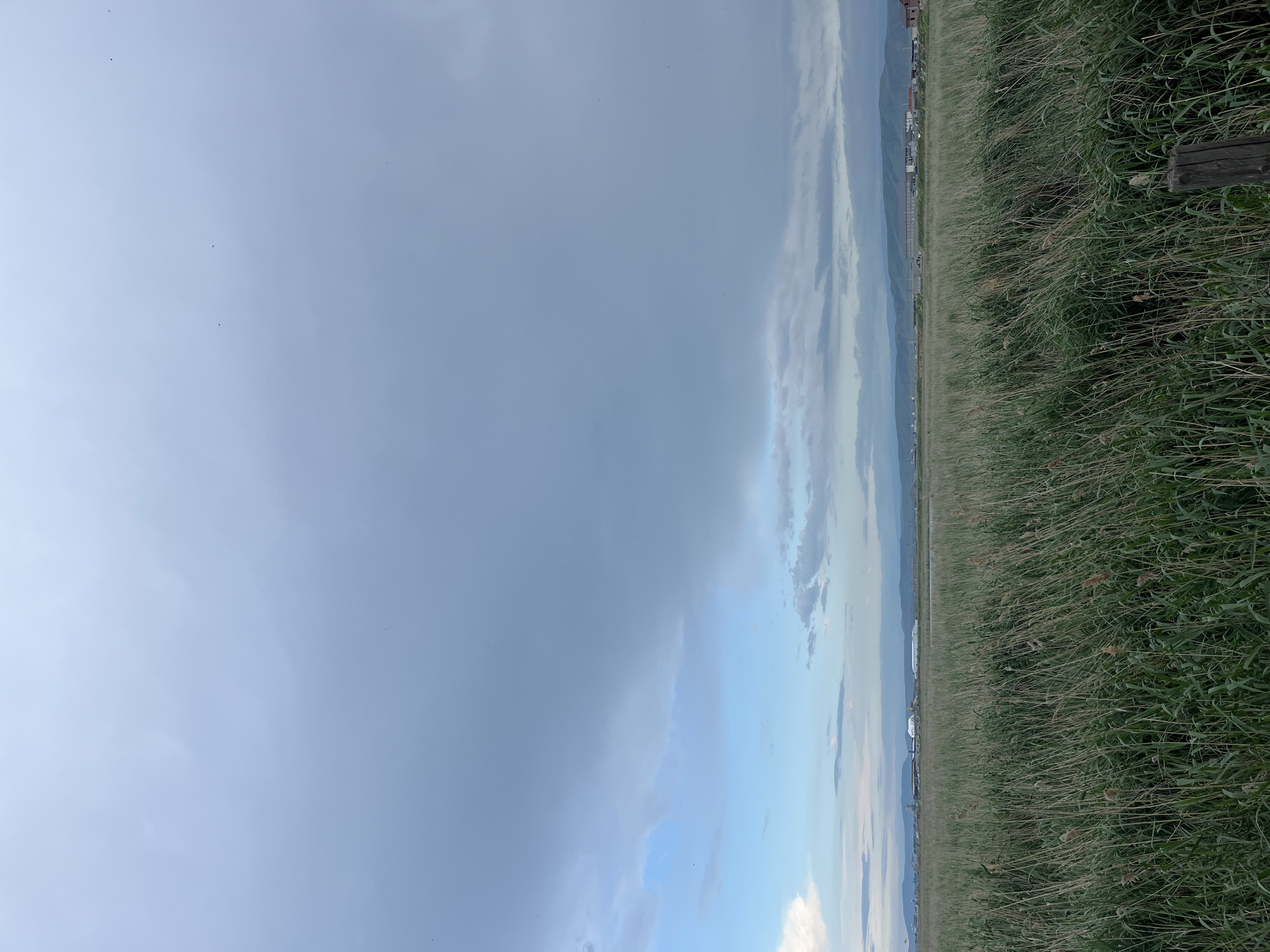 The image shows a landscape in Kaspiysk, Russia. The scene features tall green grass in the foreground, transitioning to a view of buildings and distant mountains in the midground. The sky is predominantly cloudy, with a mix of light and dark gray hues. A wooden post is visible among the grass in the foreground.