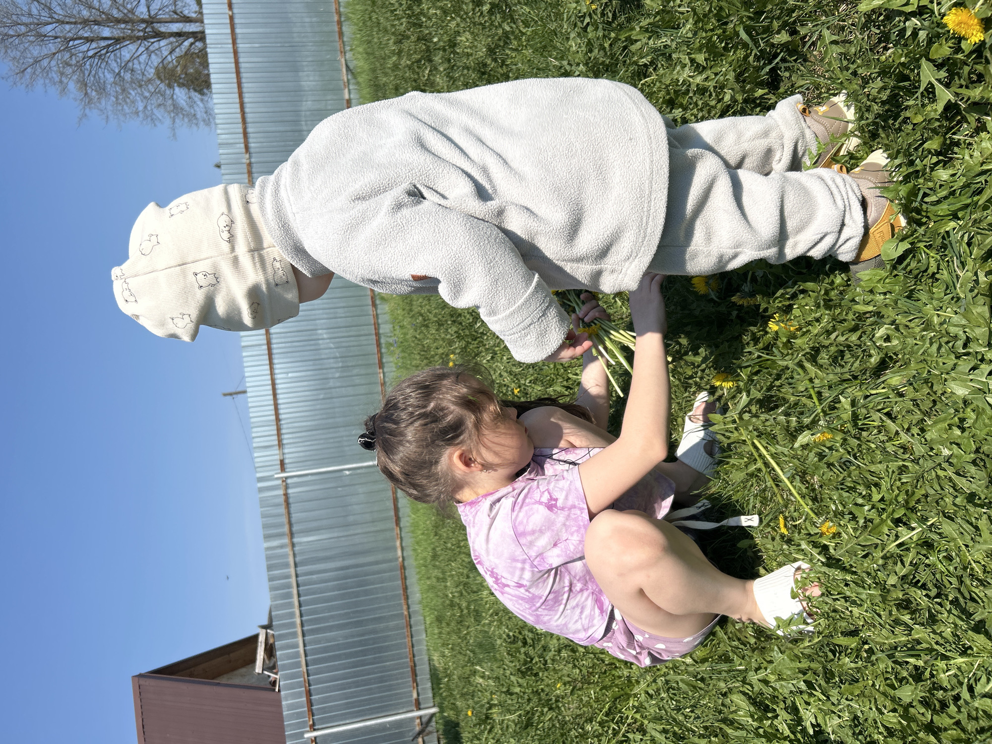 Two children are in a grassy area with dandelions, possibly in Chaikovsky, Russia, due to the request. One child in a fuzzy gray outfit and animal-print hat stands while holding dandelions, interacting with another child sitting on the ground in a purple tie-dye outfit and white sandals. A corrugated metal fence and a portion of a building are visible in the background, set against a clear blue sky with a few trees.