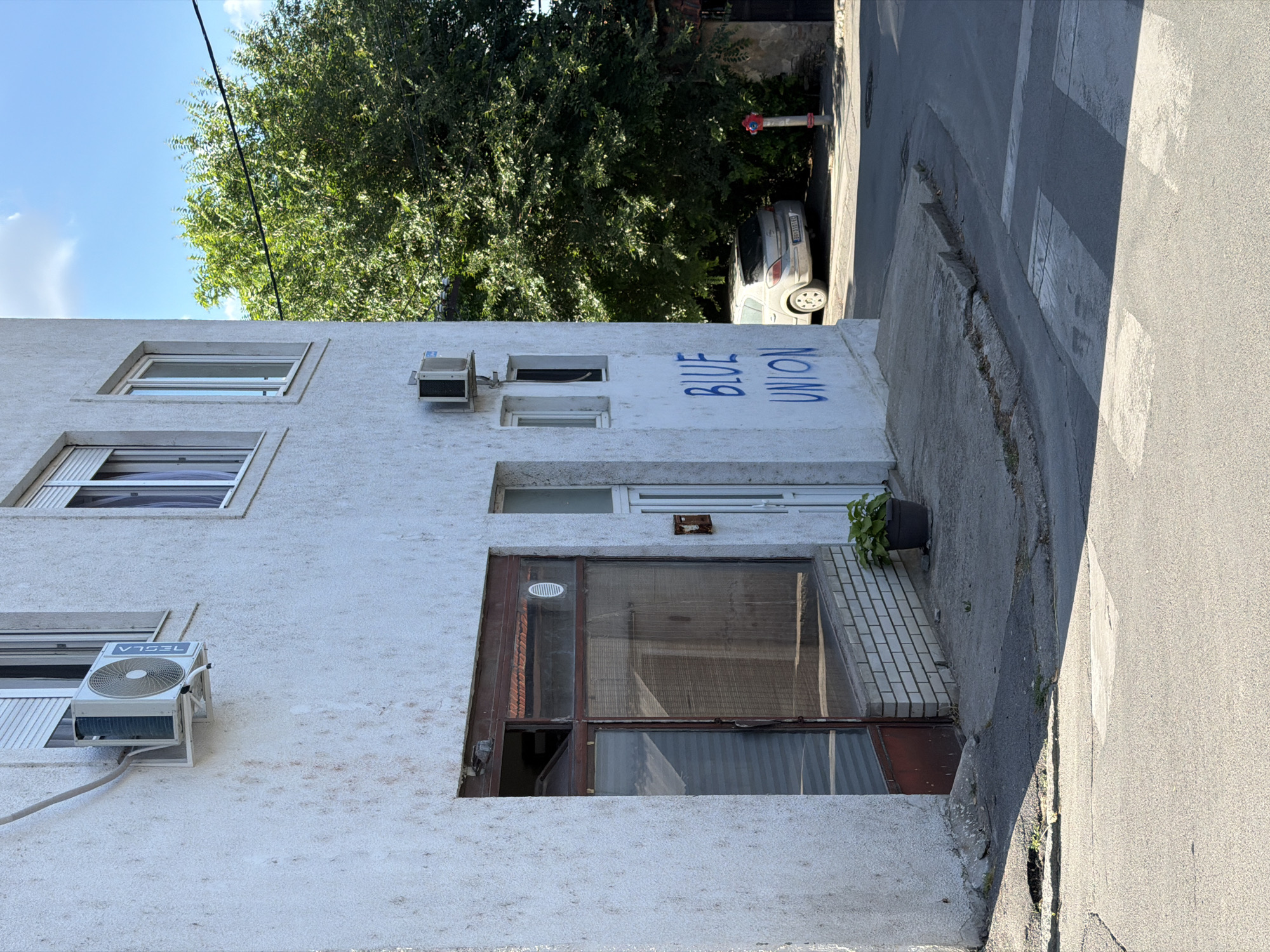 The image presents an exterior view of a two-story, white-textured building corner at a street intersection within Palilula Urban Municipality, Belgrade, Serbia. The scene is illuminated by bright daylight, casting distinct shadows to the right of objects.
The building's facades are covered in a light-colored, rough-textured stucco, exhibiting localized reddish-brown staining and general weathering. On the upper left facade, an outdoor air conditioning unit, branded "TESLA" on its front grille, is mounted below a window; a white drain tube extends from its base. Two white-framed windows are visible on the upper level of the left facade, one partially open and featuring a white slat blind. A similar white-framed window is present on the upper level of the right facade.
The ground floor of the left facade features a large, multi-pane window with a dark reddish-brown frame, consistent with a commercial storefront. The glass panes are obscured from within by a textured, translucent material, and a circular vent is installed in the upper right pane. A short white brick wall forms the base below this window. Adjacent to this, on the right facade, a white pedestrian door is visible, with a small rectangular object mounted on the wall to its right. The words "BLUE UNION" are spray-painted vertically in blue capital letters on the lower section of this right facade. A black potted plant sits on the concrete pavement near the white door.
The street in the foreground is asphalt, displaying signs of wear and patching. A faded pedestrian crosswalk is partially visible. The concrete sidewalk at the corner exhibits uneven surfaces and cracks. A light-colored Opel Astra H hatchback car with Serbian license plate "BG 3103-ЕВ" is parked to the right of the building, partially in the shade of a large, dense green tree that occupies the right side of the frame. A red fire hydrant is situated on the pavement near the parked car. A black utility wire spans horizontally across the upper right portion of the image. The sky is clear blue with sparse white clouds.