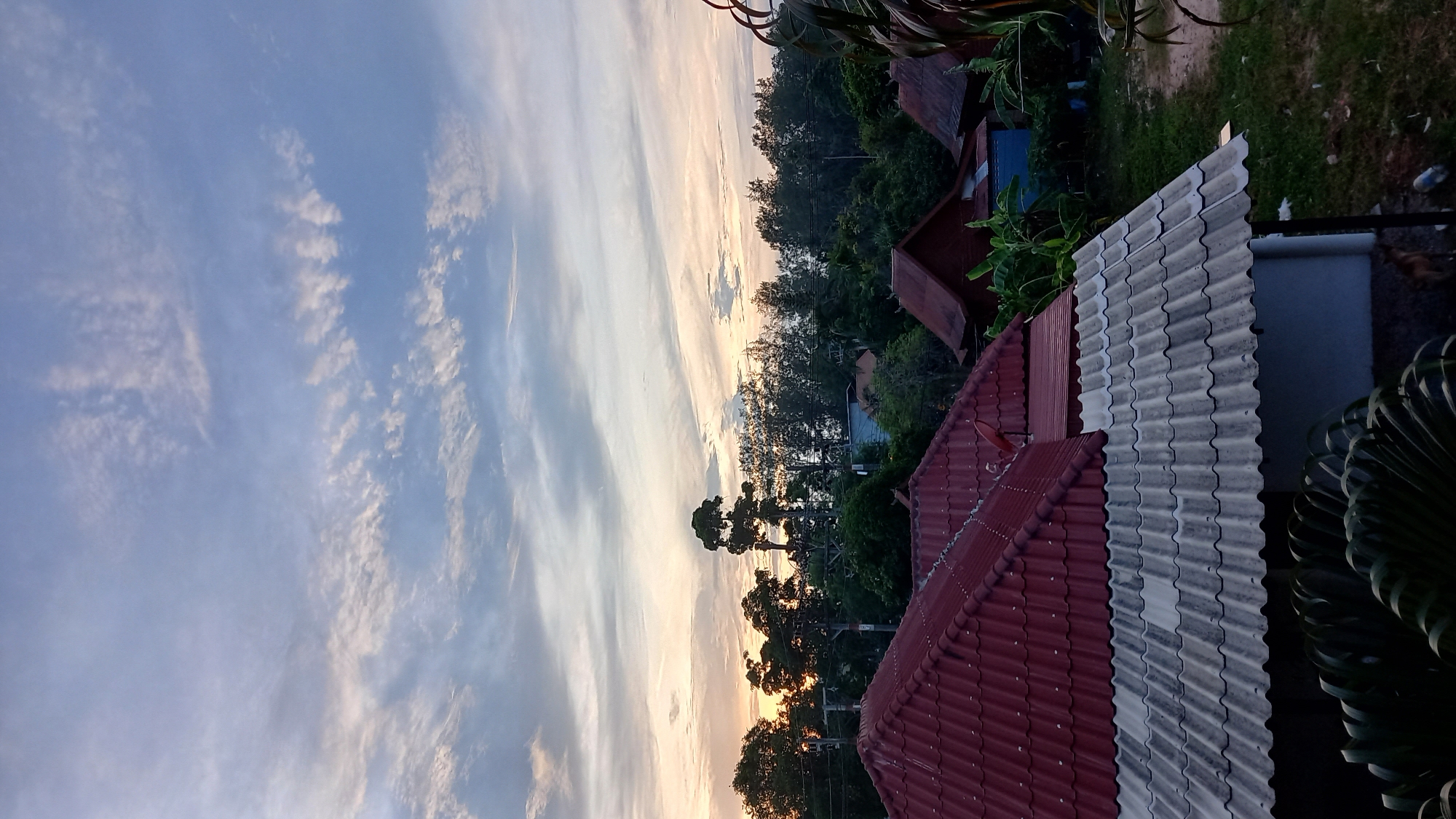 The image depicts a rural or suburban setting in Ko Pha-ngan District, Thailand, at what appears to be dusk or dawn. The foreground is dominated by the corrugated tile roofs of several buildings. The closest roof is a striking dark red, with a white section of similarly corrugated tiles adjacent to it. Further back, other buildings with darker, reddish-brown roofs are visible, nestled among dense green foliage.
The background features a line of trees and vegetation, with a particularly tall, distinct tree standing out. The sky above is a canvas of soft blues and grays, with wispy white clouds stretching horizontally, illuminated by the warm, faint glow of the setting or rising sun. The overall atmosphere is tranquil and serene. There are no people or animals clearly visible in the frame, only the structures and the natural environment. The scene suggests a peaceful residential area with a touch of tropical vegetation.