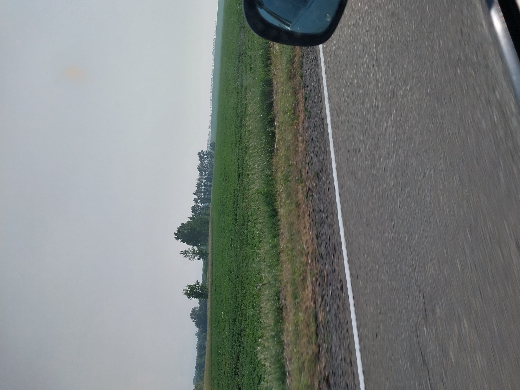 The image depicts a scenic view of a rural landscape, likely in the vicinity of Sychevka, Russia. The foreground features a paved road with a white dividing line, indicating it is a travel route. To the right, a car's side mirror is visible, suggesting the photograph was taken from inside a moving vehicle.
Beyond the road, a vast, green agricultural field stretches into the distance. The field appears to be cultivated with crops, likely soybeans or a similar low-lying plant, exhibiting a uniform green hue. A strip of wild grass and vegetation separates the field from the road.
In the middle ground, a line of trees forms a natural border on the horizon, adding depth to the scene. The trees are varied in size and type, with some appearing taller and more mature than others. The sky above is overcast and a hazy, pale gray, with a faint, undefined circular shape that might be a distant sun obscured by clouds or atmospheric conditions. The overall atmosphere is calm and serene, characteristic of a countryside setting. There are no people or animals clearly visible in the frame.
