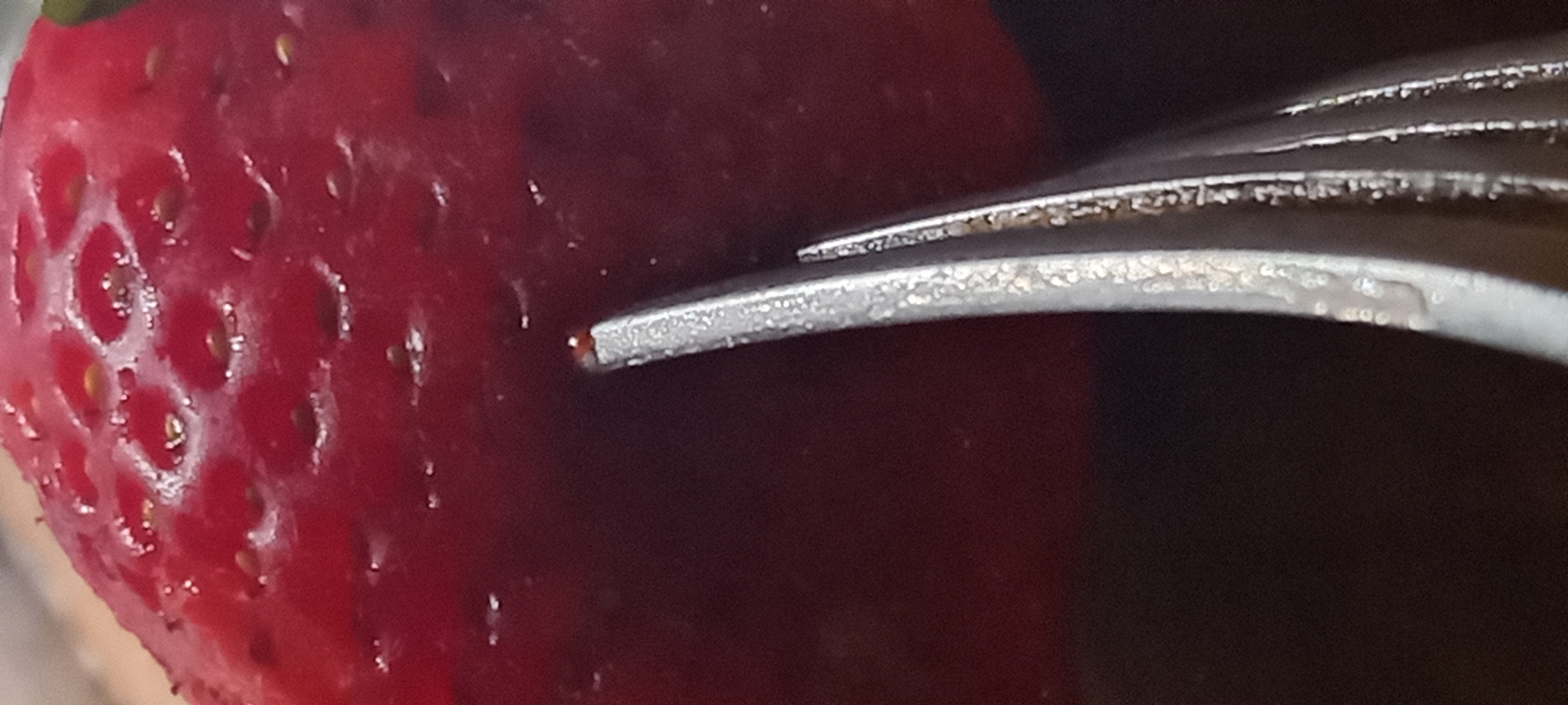 This is a close-up, macro photograph of a strawberry, with a portion of a fork visible at the bottom. The strawberry is bright red with numerous visible seeds, some of which appear to be submerged beneath the surface. The texture of the strawberry's skin is visible, showing small indentations. The fork is metallic, with a textured surface indicating wear or a brushed finish. A single berry seed is impaled on the tip of the fork. The background is a deep, dark red, suggesting it might be more strawberry or a dark liquid. The lighting creates highlights on the shiny surfaces of the strawberry and the fork. The image is tightly cropped, focusing on the texture and detail of the strawberry and the fork's interaction with it. There is no information in this image to suggest a location in Kryvyi Rih, Ukraine.