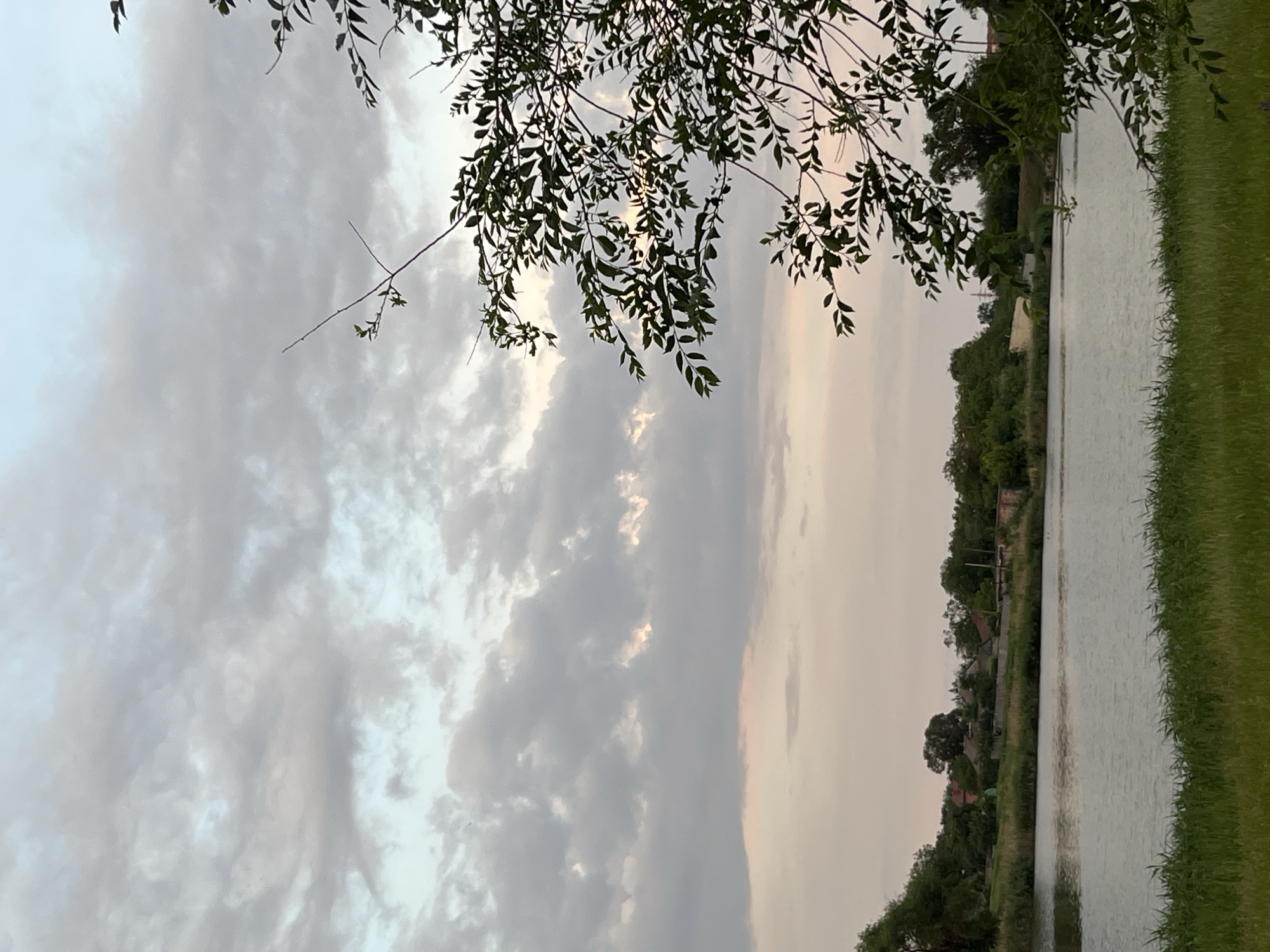 This is a landscape photograph taken from the bank of a body of water, likely a river or lake, in Kryvyi Rih, Ukraine. In the foreground, lush green grass lines the water's edge. The water itself is calm and reflects the overcast sky. Across the water, a tree line is visible, dense with foliage. Beyond the trees, several buildings with red roofs and other structures are scattered throughout the landscape, suggesting a rural or semi-rural area. The sky is filled with heavy, grey clouds, tinged with soft pink and peach hues, indicating either dawn or dusk. A tree branch with green leaves extends into the upper right quadrant of the frame, partially obscuring the sky. The overall impression is one of a serene, natural setting under a cloudy sky.