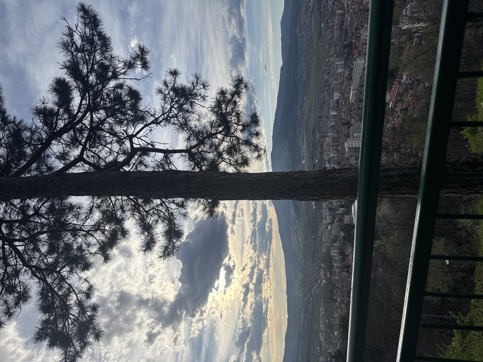 The image shows a view overlooking the city of Kyustendil, Bulgaria, from a higher elevation. A silhouetted pine tree is prominent in the foreground, its trunk extending horizontally across the center of the frame. The tree's branches extend both above and below the trunk, partially obscuring the sky. The sky is filled with various clouds, some dark and some reflecting sunlight. In the distance, a mountain range is visible. A green metal railing partially obscures the view on the right side of the frame. The city itself is densely populated with buildings of varying heights.