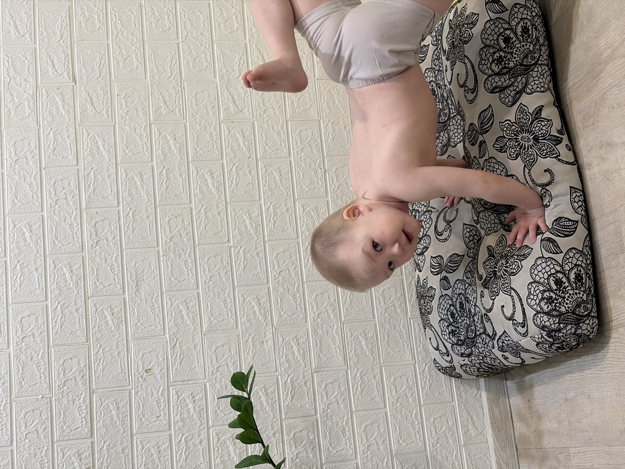 A baby wearing light-colored shorts is positioned upside down, with feet towards the top left and head towards the middle. The baby is leaning on a patterned cushion. A green plant is in the lower left corner. The background consists of a wall with a textured brick-like pattern. A wooden surface is visible at the bottom right. The city location cannot be determined from this image.