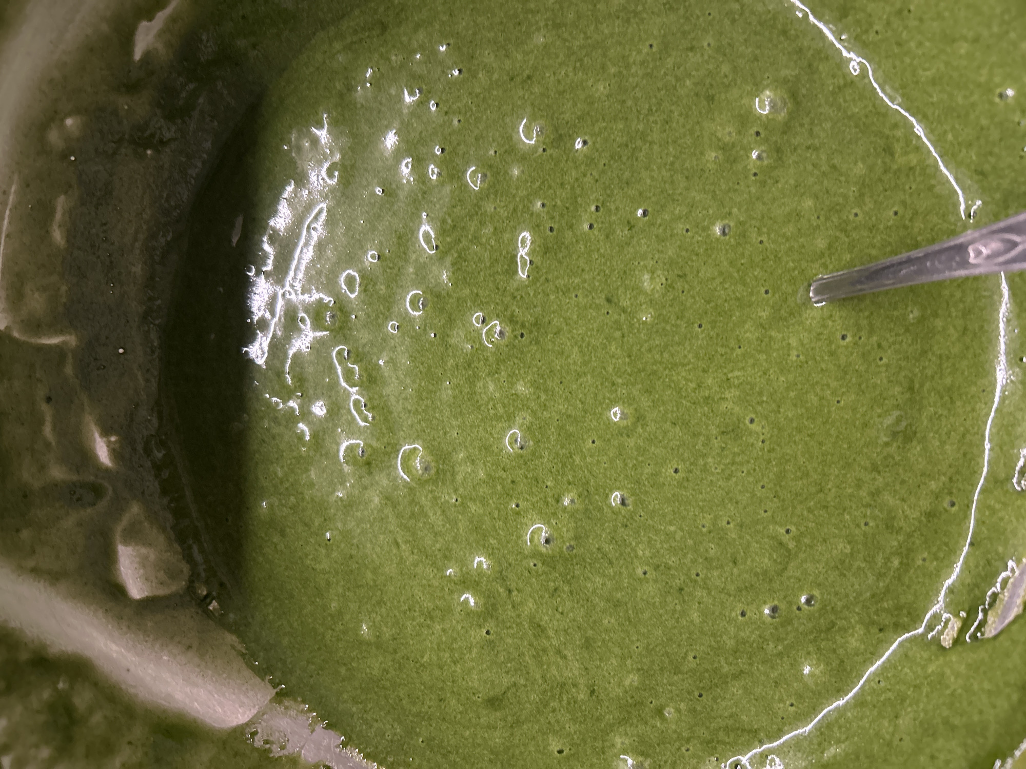 A top-down, close-up view of a bowl filled with green liquid, likely a food preparation. The liquid exhibits a smooth consistency with small bubbles and dark specks dispersed throughout. A metal spoon is partially submerged in the liquid on the right side. The bowl has a textured interior surface, visible on the left side. There is no indication of the location being Kadievo, Bulgaria.