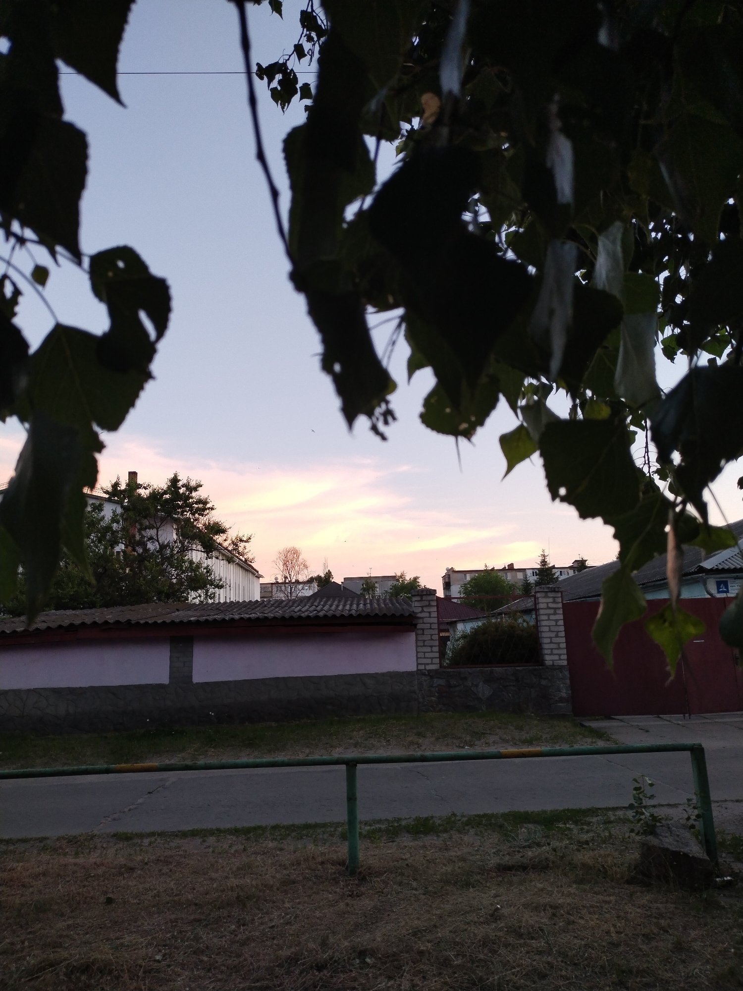 The image depicts a view from behind some trees in the city of Horishni Plavni, Ukraine, at dusk. In the foreground, dry grass and a metal railing are visible. Beyond the railing is a paved area and a low wall. The wall is constructed with a pink upper section and a grey stone base. Behind the wall, a street is visible, with buildings and trees lining it. A large, white building with a red-tiled roof is prominent. A brick fence and a dark red gate are also present. The sky is a pale blue with streaks of pink and orange from the setting sun. Several birds are in flight. The overall impression is one of a quiet residential street at the end of the day.