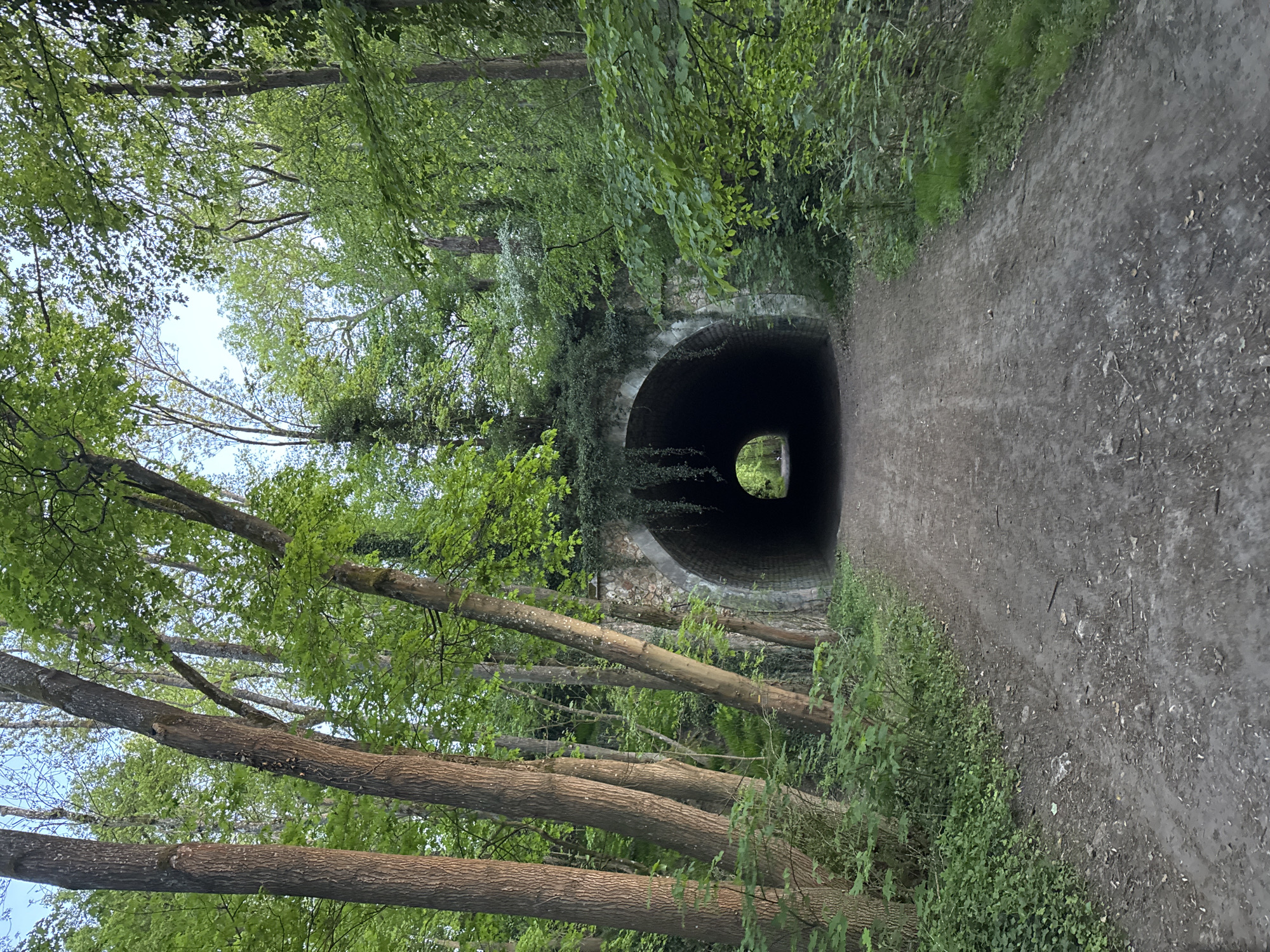 This vertically oriented image captures a tranquil outdoor scene featuring a path leading into a tunnel, enveloped by lush greenery. A dirt or gravel path runs along the right side of the frame, guiding the eye directly into a dark, arched tunnel entrance.
The tunnel's facade appears to be constructed from stone or brick, partially obscured and heavily adorned with vibrant green ivy and other dense foliage that also blankets the ground and structures around it. Overhanging branches with fresh, light green leaves frame the upper section of the tunnel opening. Deep within the darkness of the tunnel, a small, circular, bright opening is visible, indicating light from the exit and suggesting passage through to another area.
On the left side of the path, several mature tree trunks rise, their branches extending upward and outward, contributing to a dense canopy of bright green leaves that fills the upper-left and central portions of the image. The overall impression is one of a secluded, verdant natural environment, possibly a walking or cycling trail.
No people or visible activities are depicted. The bright lighting suggests it is daytime, likely late morning or early afternoon, under clear weather conditions. The abundant, fresh green leaves indicate spring or early summer. The tunnel's appearance, partially overgrown, hints at an older, possibly disused structure repurposed for recreational use. Given the location context, this scene is situated in Bures-sur-Yvette, France. No visible text is present in the image.