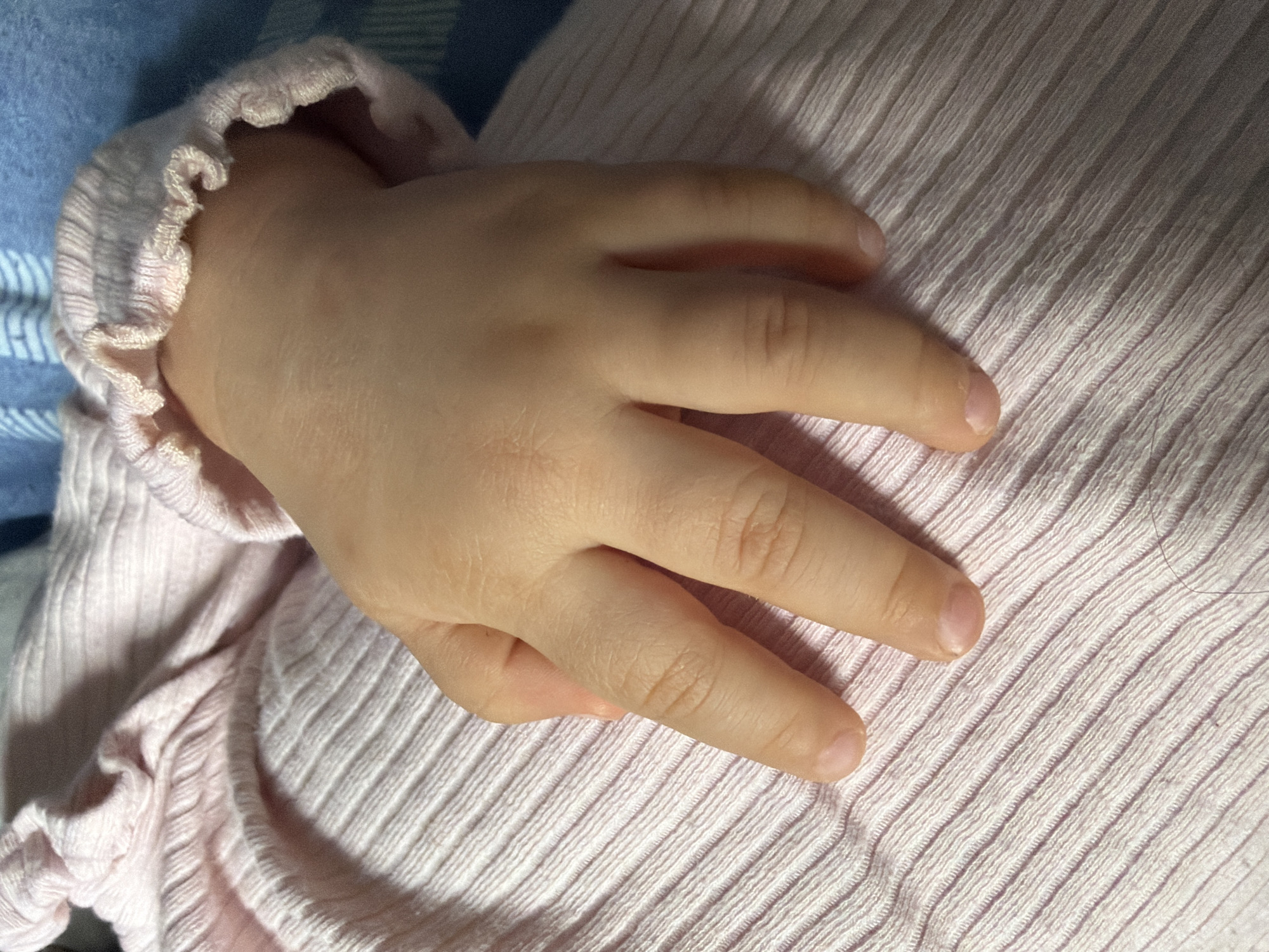 A close-up shot features a small, fair-skinned hand, likely a child's, resting gently within a soft environment. The hand appears smooth and plump, with visible knuckles and natural, untrimmed fingernails. It is partially covered by the sleeve of a light pink garment, which has a distinct ribbed texture and a ruffled, elasticized cuff around the wrist.
The hand is positioned on a surface of similar light pink, finely ribbed fabric, which covers the majority of the image. This fabric exhibits clear diagonal lines of texture. In the upper left corner, a section of blue, subtly textured fabric is visible, possibly part of a blanket or another item of clothing.
The scene conveys a sense of calm and tenderness, suggesting the hand is in a state of rest or sleep. The lighting is soft and even, highlighting the delicate textures of the skin and fabrics without creating harsh shadows. The color palette consists of gentle pinks and a muted blue, contributing to a peaceful atmosphere. No text is visible in the media file. This image is set in Bearpark, United Kingdom.