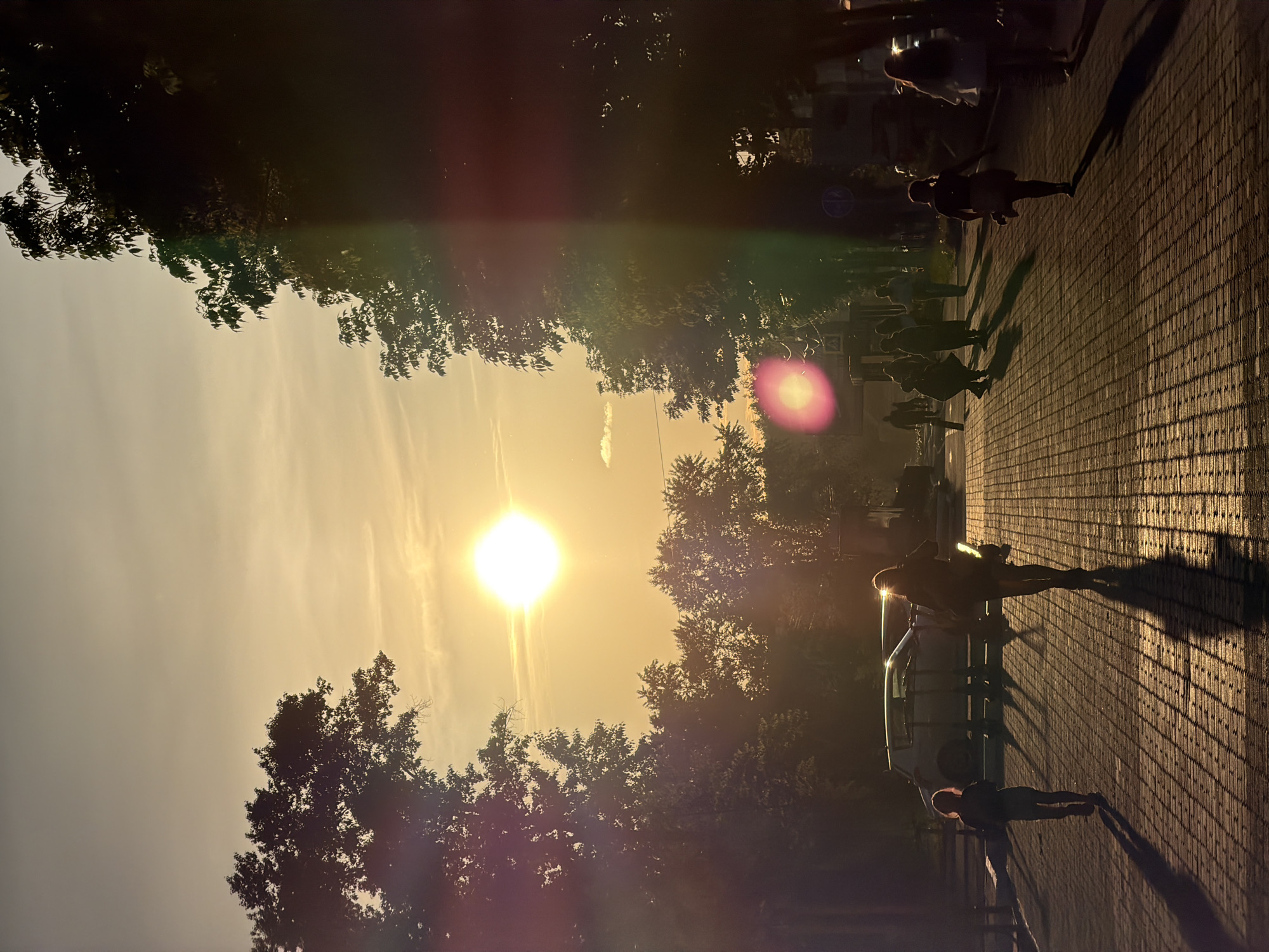 This image, taken in Birobidzhan, Russia, depicts an outdoor scene during what appears to be late afternoon or early evening, characterized by the warm, golden light of the sun. The bright sun, a dominant feature positioned on the left side of the frame, casts long, stark shadows across the paved ground on the right.
Several individuals are visible, their forms silhouetted against the ambient light as they walk along a brick or paver pathway. One person stands near a light-colored parked car, also in silhouette. The setting suggests an urban or suburban environment, possibly a street or a path adjacent to a park.
Lush, dark foliage from numerous trees frames both sides of the scene, with their branches and leaves silhouetted against the bright sky. The sky itself transitions from a brilliant, almost white glow around the sun to a warm orange and yellow hue further away, with faint cloud wisps visible. Prominent lens flares, including a bright streak emanating from the sun and a distinct magenta circular flare, are scattered across the image, highlighting the intense light source. A faint circular street sign can be seen in the mid-ground. The activity primarily involves people strolling or commuting in the waning sunlight. No discernible text is visible within the image.