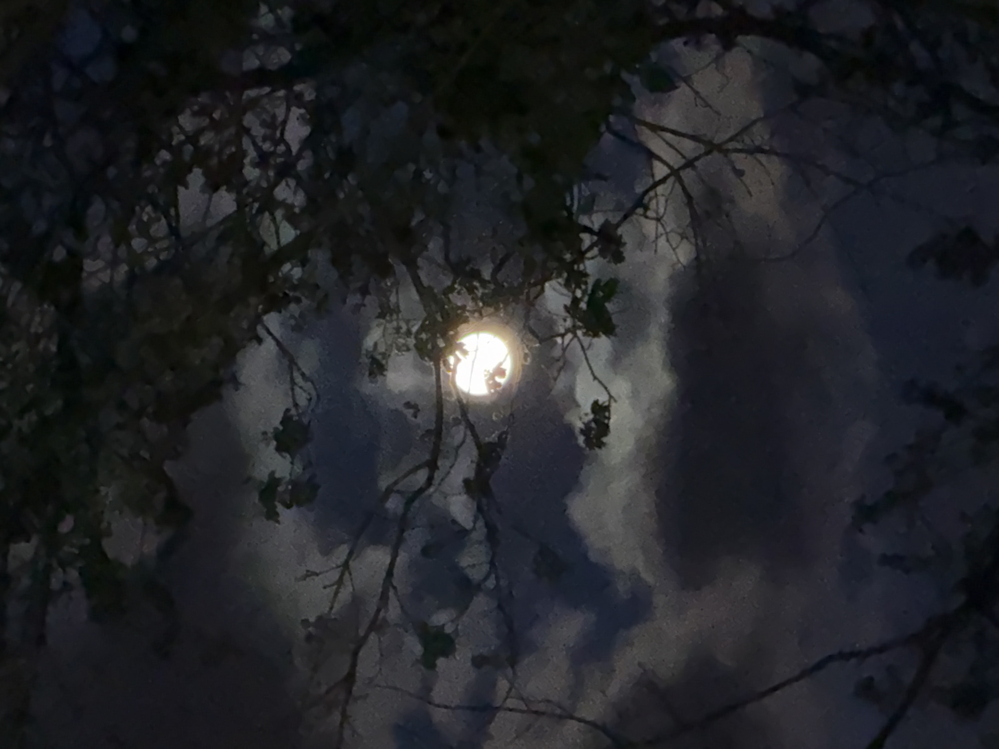 The image depicts a view of the moon through tree branches. The moon is a bright, circular object partially obscured by dark clouds. The tree branches are silhouetted against the night sky, adding depth and texture to the composition. The overall scene conveys a sense of night and natural beauty.
Based on this information, I cannot tell the location to be the city of London, United Kingdom as nothing in this image would suggest so.