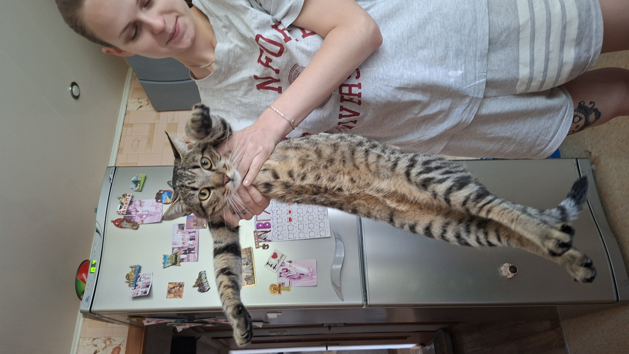 A young woman with blonde hair pulled back in a bun holds a tabby cat vertically in front of a refrigerator. The cat is stretched out, with its paws extended sideways, resembling a superhero pose. The woman wears a grey t-shirt with red lettering and grey shorts. The refrigerator is covered with various magnets and photographs. The background shows a kitchen interior with tiled walls and cabinets.