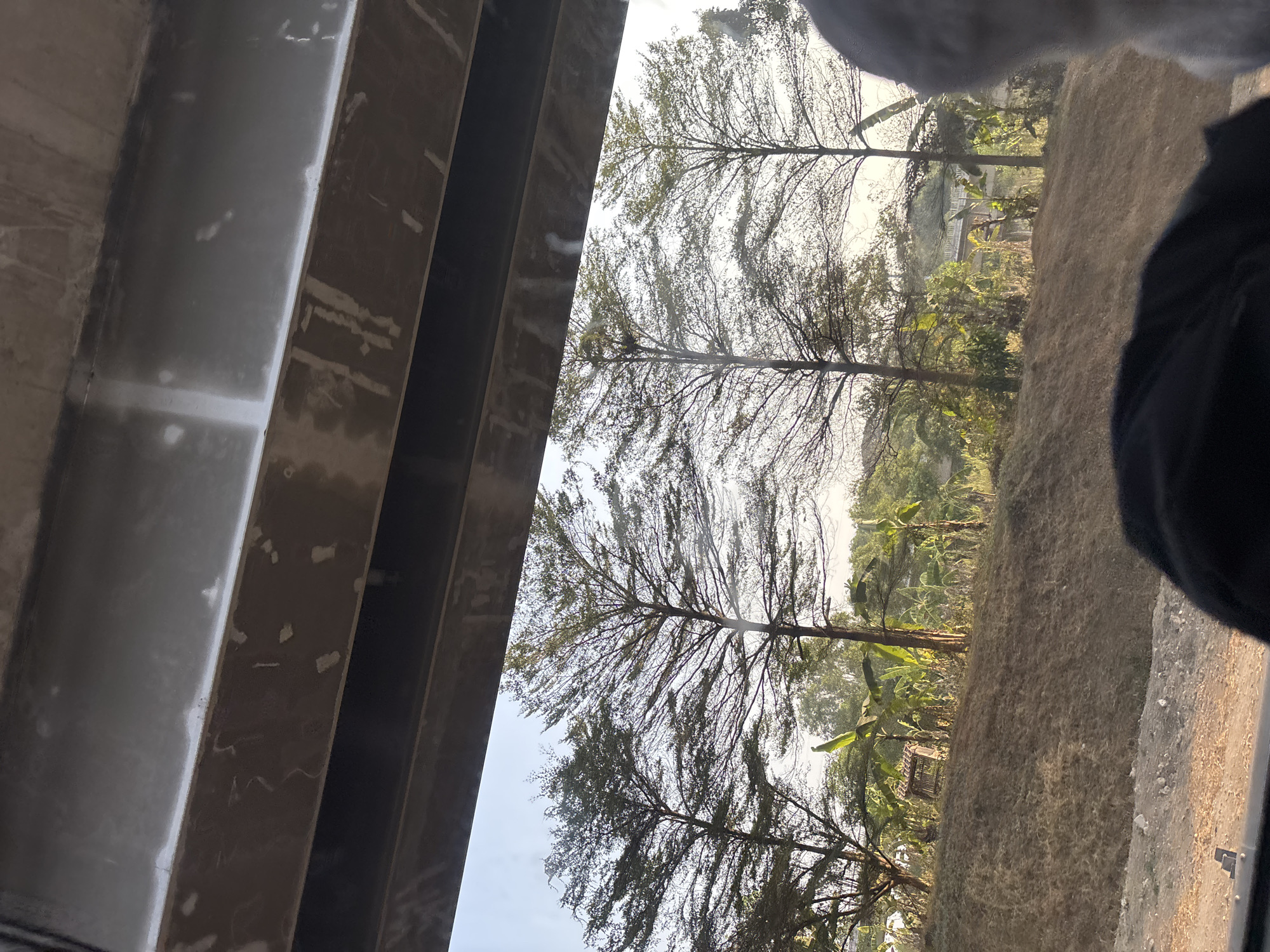 The image is a photograph taken from inside a vehicle looking out through the windshield. In the foreground, the dark fabric of a jacket or headrest is visible. Beyond the windshield, there is a sloped, dry grassy embankment. Several trees with sparse foliage and prominent branches are spaced across the middle ground. Behind the trees, a lush green landscape with banana plants and other vegetation is visible. In the distance, a bridge structure can be seen crossing a valley. The sky is clear and bright. The scene appears to be outdoors, possibly in a rural or semi-rural area. The image quality is somewhat grainy, and there are reflections on the windshield. There is no discernible information within the image to suggest the specific location of Jayamukti, Indonesia.
