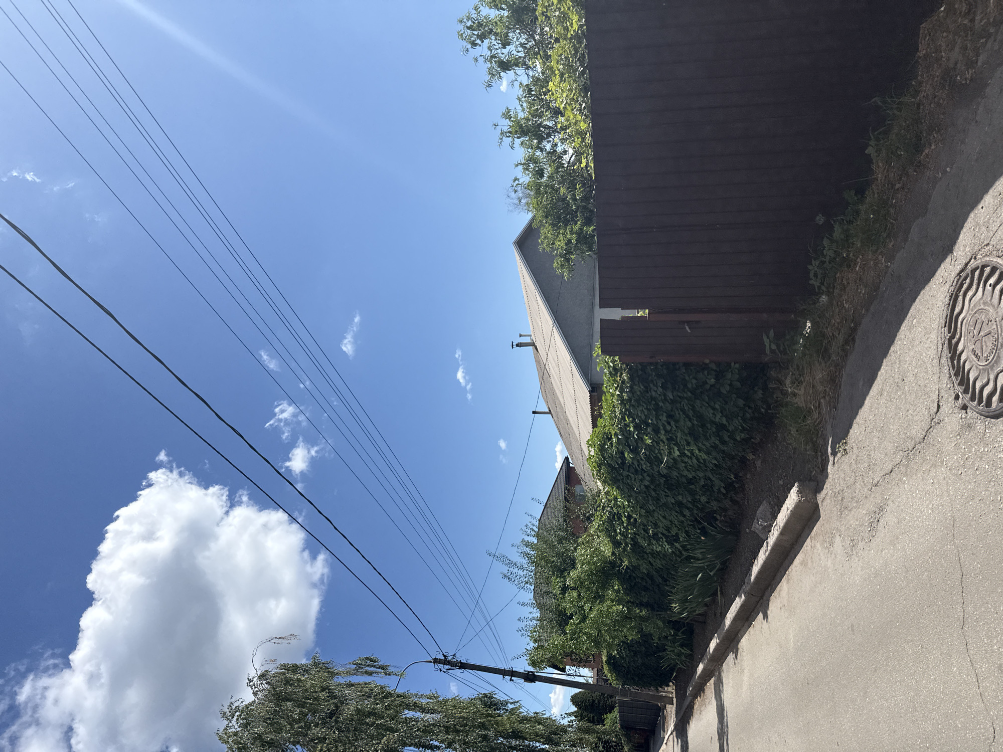 A street-level view captures a residential area under a bright blue sky with scattered white clouds. Power lines stretch across the upper portion of the frame, supported by a utility pole on the left. Along the right side of the street, a dark brown wooden fence separates the viewer from a lush green hedge and the roofs of houses. The houses appear to be single-story dwellings with grey tiled roofs. On the left, a paved road with a cracked surface leads away from the viewer. A concrete curb runs along the edge of the road, bordering the vegetation. A manhole cover is visible on the road in the foreground. The scene suggests a peaceful, suburban environment. The image was taken in Zaporizhzhia, Ukraine.