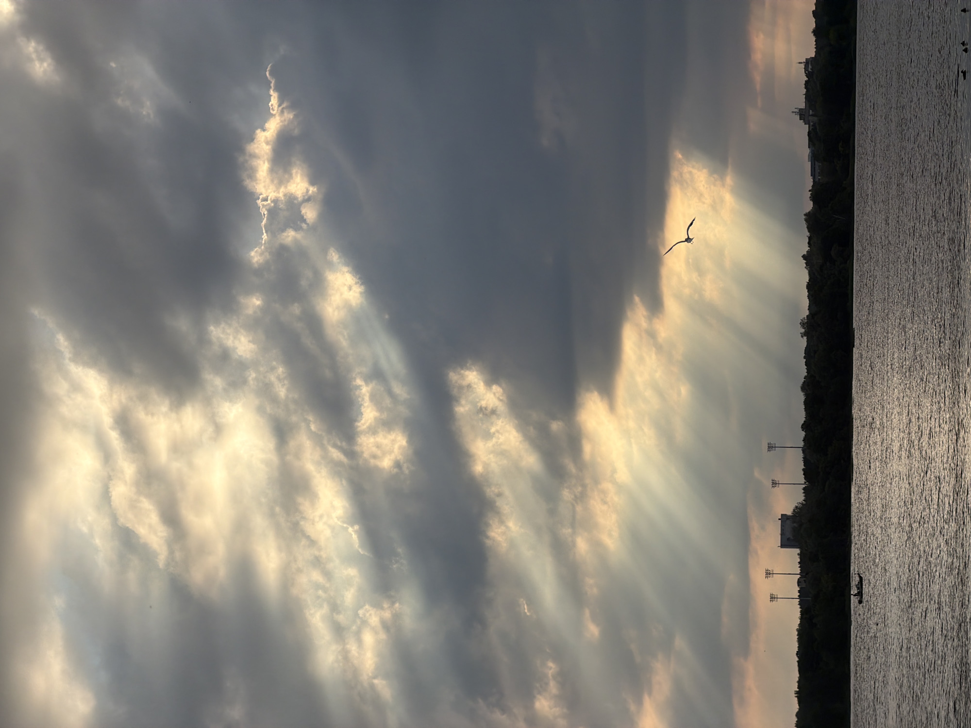 This image depicts a scene at sunset over a body of water, likely the Daugava River in Riga, Latvia, given the presence of floodlights typical of sports facilities and the silhouette of buildings along the riverbank. The sky is dramatic, with heavy, dark clouds partially obscuring the setting sun, which creates visible rays of light piercing through the overcast sky. A single bird, possibly a seagull, is captured in mid-flight against the illuminated clouds. In the foreground, the water is relatively calm with ripples reflecting the subdued light. Along the distant shoreline, a dense line of trees forms a dark silhouette, punctuated by tall floodlights and the indistinct shapes of buildings. A small boat with at least one person is visible on the water, adding a sense of human presence to the otherwise natural and atmospheric scene. The overall mood is serene and contemplative, highlighting the beauty of a dramatic sunset.