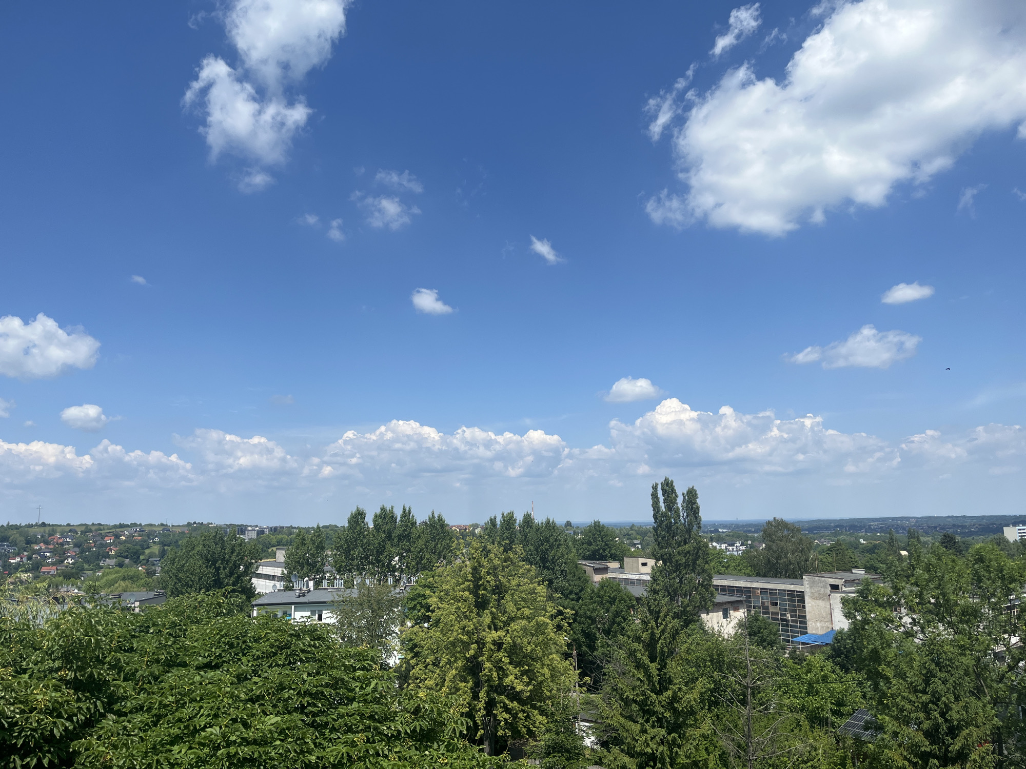 An aerial, wide-angle shot captures a clear, bright blue sky filled with scattered white, puffy clouds. The expansive sky occupies the top two-thirds of the frame. The lower third reveals a dense, green landscape of trees and vegetation. Beyond the foreground foliage, a city skyline unfolds with a mixture of residential homes with red-tiled roofs and modern buildings with white and gray facades. The urban sprawl stretches towards the horizon, where it merges with a hazy, distant landscape under the bright sky. A small, dark silhouette, possibly a bird, is visible against the sky in the upper right quadrant.