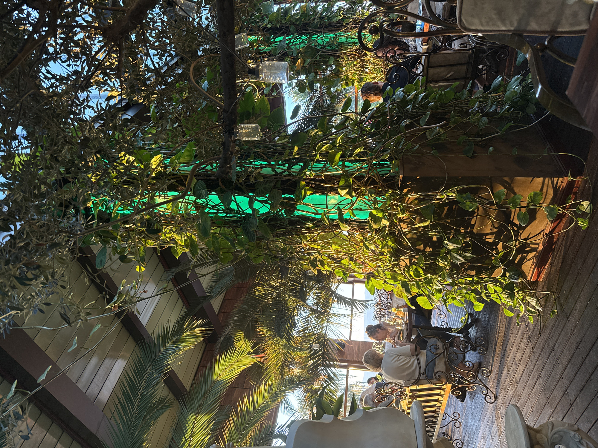 The image depicts an outdoor dining area, possibly a restaurant, densely decorated with greenery. Sunlight filters through palm fronds and other plants, casting shadows across the space. Tables and ornate chairs are visible, with people seated at some tables, apparently dining. The setting suggests an upscale or themed establishment. The location in Sofia, Bulgaria is not evident from the visual data alone. It is difficult to ascertain the location of the image in Sofia, Bulgaria. More information is needed to discern the specific location of the restaurant.