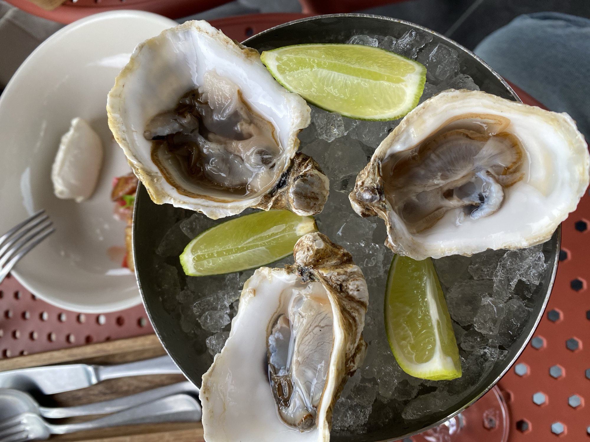 A close-up, overhead shot shows three open oysters on a bed of crushed ice in a metal dish. Each oyster contains a portion of the mollusk and some liquid. Scattered around the oysters are four wedges of lime. In the background, out of focus, is a white bowl with a dollop of white sauce and some chopped ingredients, as well as silverware and a fork. The setting appears to be an outdoor restaurant with a red, hexagonal-patterned table. The scene is likely located in Yekaterinburg, Russia, based on the context provided.