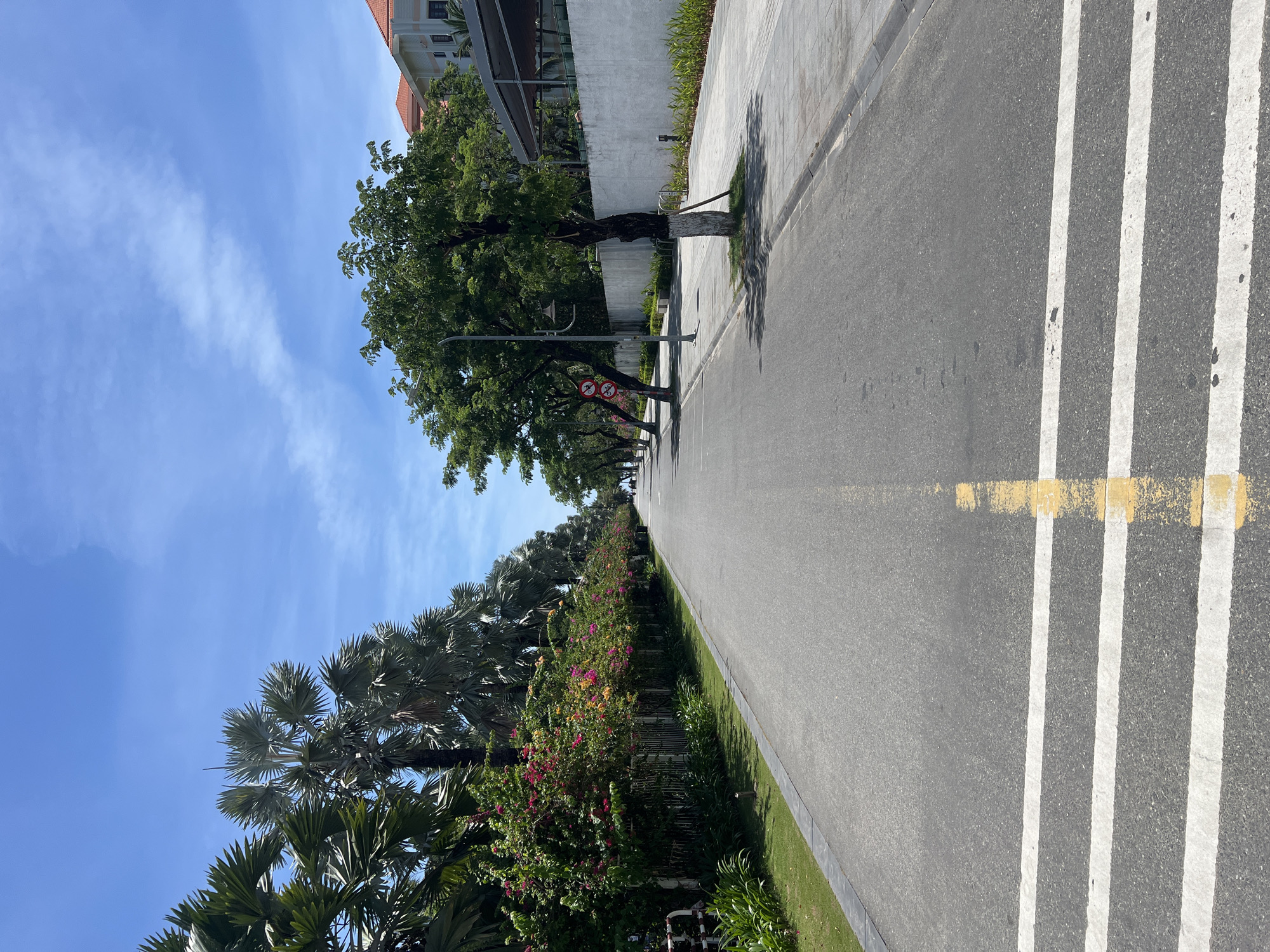 The image depicts a wide, empty asphalt road in a city, likely Đà Nẵng, Vietnam, on a clear, sunny day with a blue sky and scattered clouds. The road is bordered by a paved sidewalk on the right and a grassy median on the left, which then transitions into lush vegetation and trees. On the left, a row of tall palm trees with lush green fronds lines the street, interspersed with flowering bushes displaying vibrant pink and yellow blooms. A white metal fence runs along the edge of the property. On the right side of the road, more mature trees with full canopies cast shadows on the sidewalk. Beyond the trees, a white stucco wall and a building with an orange tiled roof are visible. Several streetlights are present along the sidewalk. At the bottom of the image, a pedestrian crosswalk with white stripes is marked on the asphalt road, with a single yellow line running down the center of the road. The scene appears tranquil, with no people or vehicles immediately visible, suggesting a quiet street or perhaps an early morning view. The overall impression is one of a well-maintained, tropical urban environment.