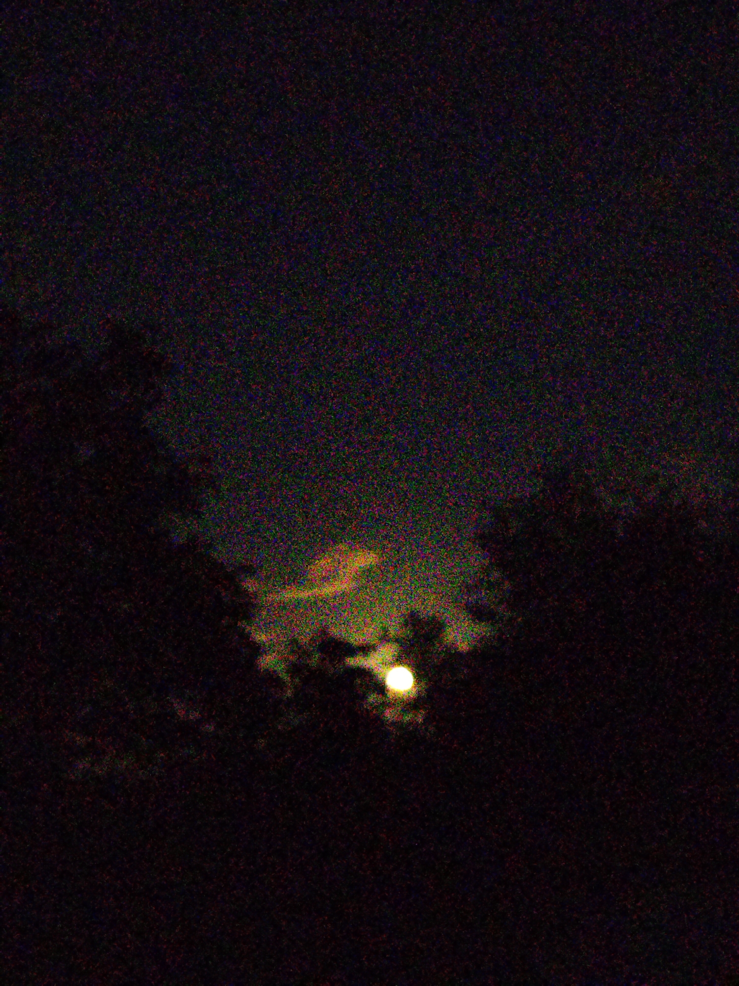 This is a photograph of the night sky, taken from Ustyvytsia, Ukraine. The image is dark and grainy, with a high level of digital noise. In the center of the image, partially obscured by silhouetted foliage, is a bright, luminous orb that appears to be the moon. The moon is surrounded by a hazy glow, suggesting the presence of clouds or atmospheric conditions. The foreground is dominated by the dark silhouettes of trees or other vegetation, framing the celestial display. The overall impression is one of a moody, atmospheric night scene.
