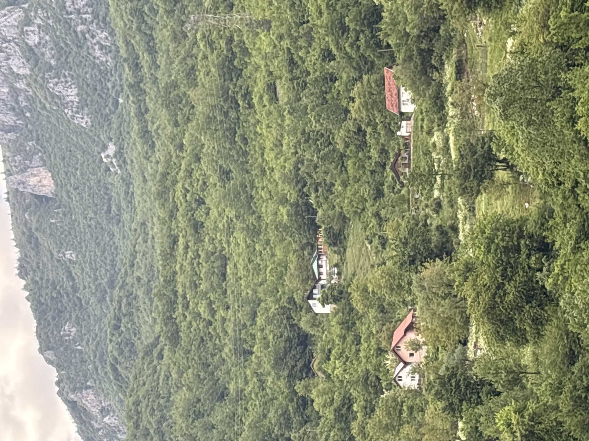 The image depicts a hillside in Brijeg, Montenegro, heavily forested with green trees. Several houses are nestled amongst the trees. The roofs are red. The houses are of varying size and design, but all appear to be single-family dwellings. A rocky cliff face is visible on the left side of the image. Power lines run through the trees.