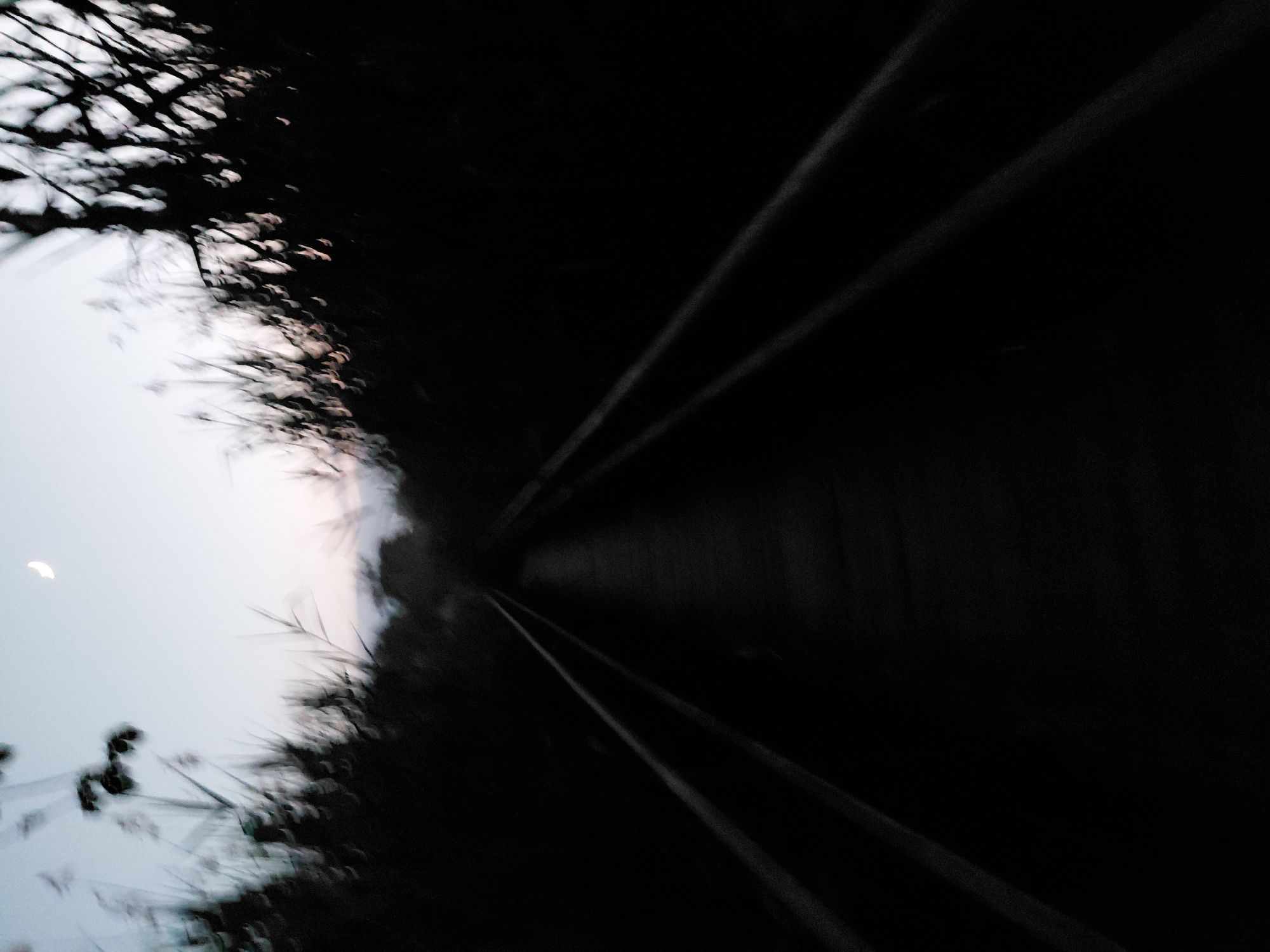 The image depicts a blurry, low-light scene of a narrow path or walkway lined with tall reeds or grass on either side. The path appears to recede into the darkness, suggesting it leads into a dense, overgrown area. The sky above is a pale, hazy blue with a sliver of a crescent moon visible in the upper portion of the image. The overall impression is one of solitude and possibly twilight or early morning. There are no people or animals visible, and no specific landmarks to pinpoint a location within Ustyvytsia, Ukraine. The image quality is poor due to motion blur and low light conditions.