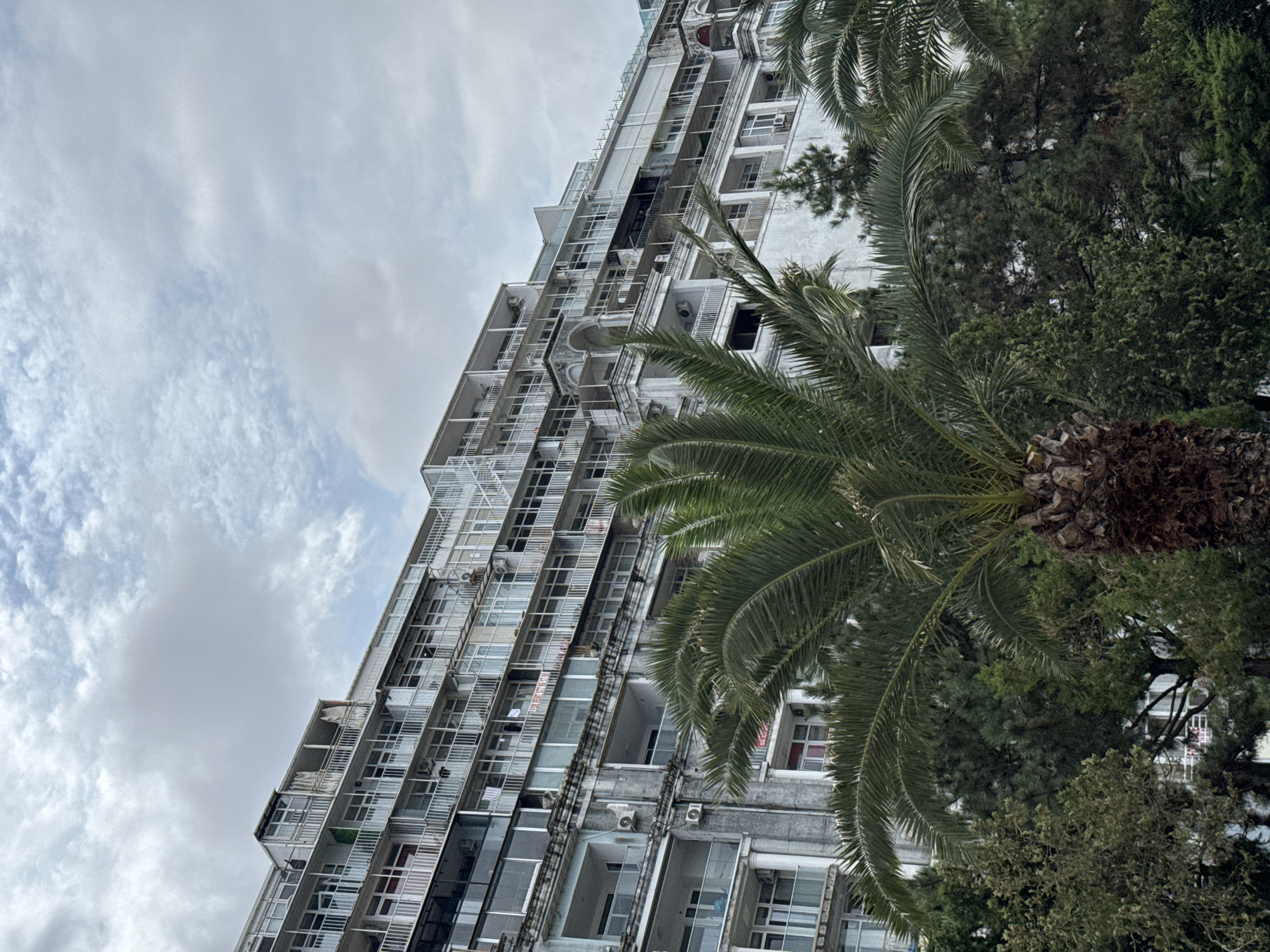 The image shows a long, multi-story building with a white facade, possibly an apartment complex or hotel, situated in Batumi, Georgia. The building has numerous balconies and windows, many of which appear aged and somewhat dilapidated. A prominent palm tree with a thick, textured trunk stands in the foreground, partially obscuring the lower levels of the building. Behind the palm tree, a dense cluster of various green trees and foliage is visible, suggesting a lush, possibly tropical or subtropical environment. The sky above is overcast with a mix of white and gray clouds. The overall impression is one of a weathered, possibly historic, structure surrounded by abundant vegetation under a cloudy sky.