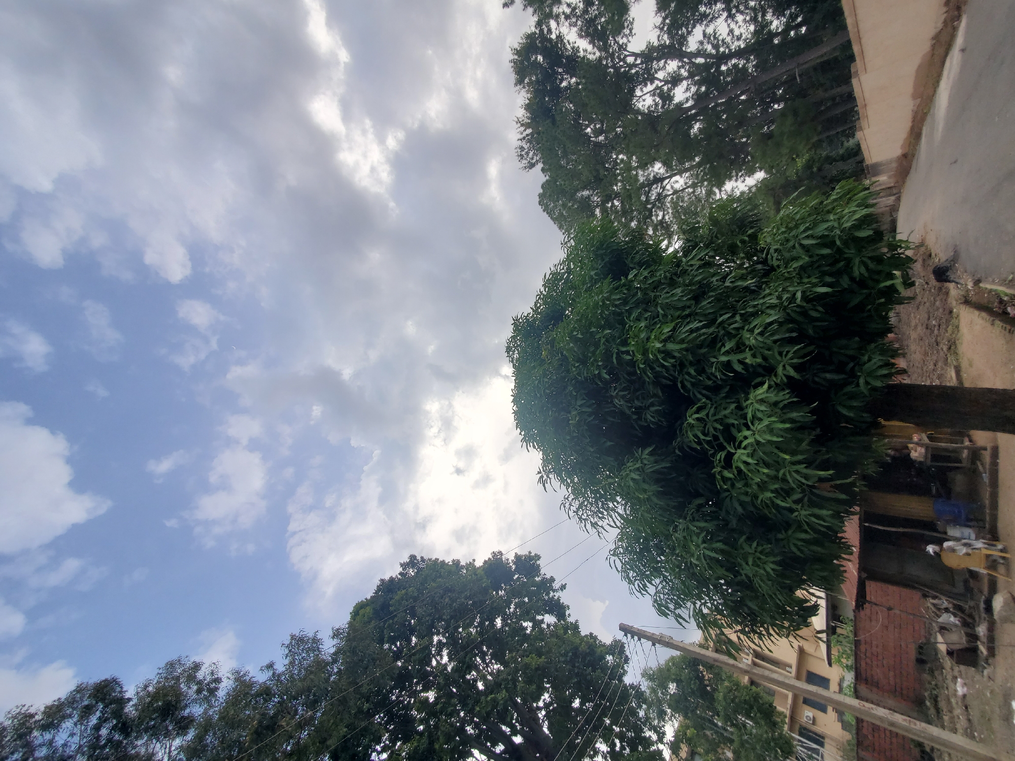 This is a low-angle, full shot of a rural street scene on a cloudy day in Jos, Nigeria. In the foreground, a mature mango tree with dense, dark green foliage dominates the center of the frame. To the left, a tall, light brown building with multiple windows and air conditioning units is visible behind a utility pole and some overhead wires. In front of the building, a small, makeshift structure with a corrugated metal roof and brick walls is partially visible, with some debris and furniture scattered around. A white goat stands near the structure. A paved road curves away into the background on the right, bordered by a light brown wall. The sky above is filled with a mix of white and gray clouds.
