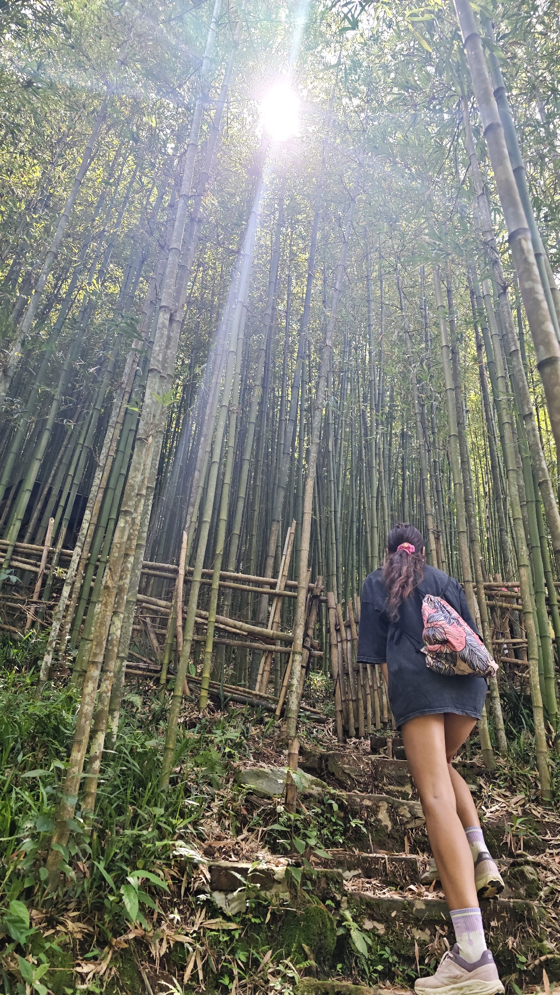 A low-angle, full shot captures a woman ascending a steep, makeshift staircase amidst a dense bamboo forest, purportedly near Ngã Ba Kim, Vietnam. The woman is clad in a dark-colored oversized shirt or tunic, paired with neutral-toned socks and sneakers. A floral-patterned shoulder bag is slung across her back, and her dark hair is partially tied up with a pink hair tie.
The staircase, constructed from rough stone and earth, leads upwards through a thick grove of tall, slender bamboo stalks that stretch high towards the sun, which is visible as a bright point of light through the canopy. Sunlight filters down in beams, illuminating the scene. A rudimentary bamboo fence lines a portion of the path. The ground is covered in fallen leaves, moss, and other forest detritus. The overall impression is one of a natural, somewhat wild environment.