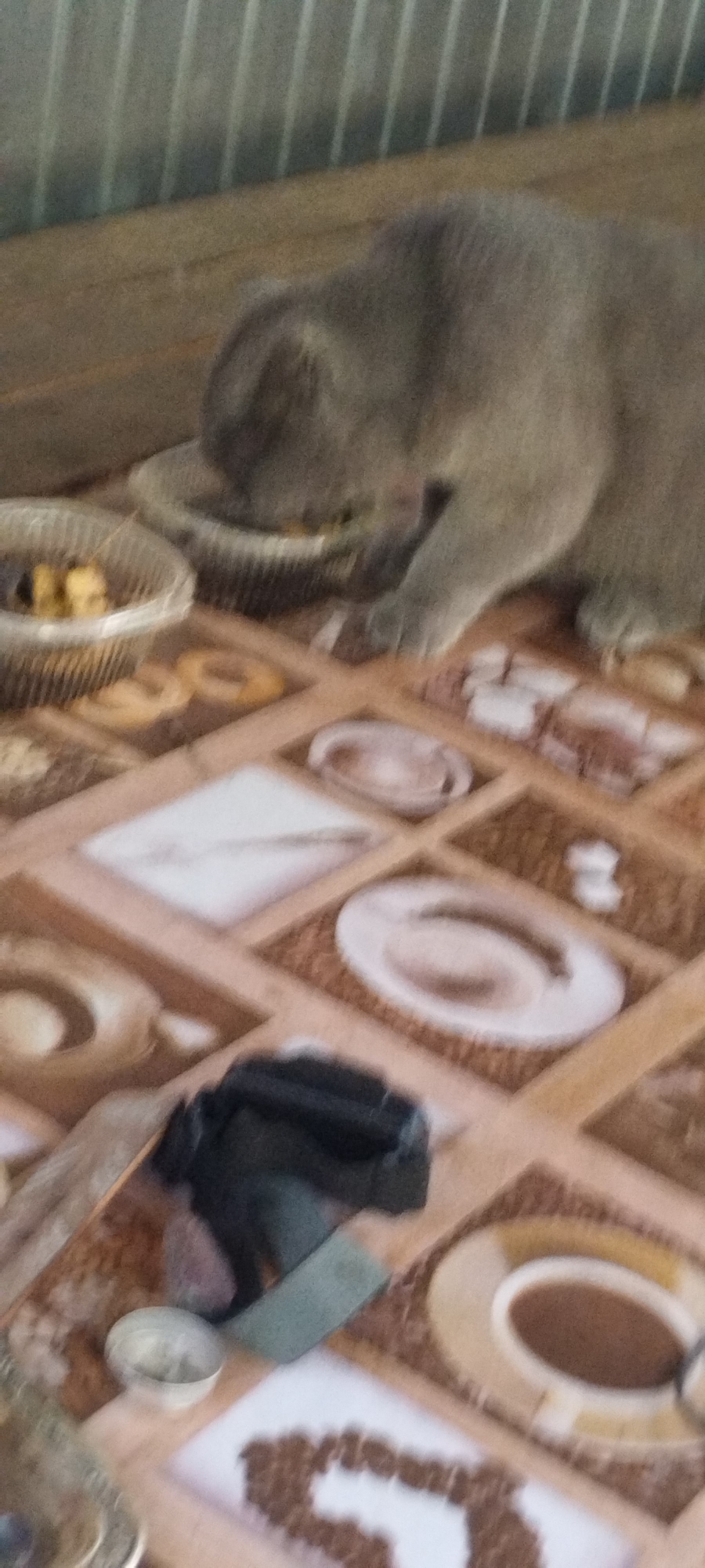 The image depicts a domestic indoor scene. A gray cat is shown eating from a bowl on a wooden surface covered with a patterned tablecloth. The tablecloth has a repeating design of squares and diamonds, some of which appear to depict plates and coffee cups. In the foreground, there are various objects scattered on the tablecloth, including a small silver bowl, a dark-colored fabric item, and a green tool resembling a knife or spatula. The background shows a blurred wall or surface with vertical lines. The scene is not identifiable as being in Yaroslavskaya, Russia.