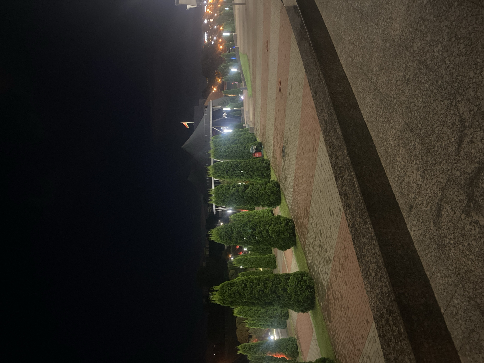 This is a nighttime photograph of an outdoor paved area with rows of manicured evergreen trees. In the background, a large tent-like structure with a flag on top is visible, along with city lights and buildings. The ground is paved with rectangular bricks in alternating shades of red and beige, with patches of grass between the trees. A dark, textured concrete barrier runs along the foreground, obscuring the lower portion of the scene. There are no people visible in the image. The lighting suggests it is a public space, possibly a park or an area adjacent to an event venue. Based on available information, this scene is located near the National Library of Belarus in Minsk, Belarus, a popular spot for outdoor events and gatherings.