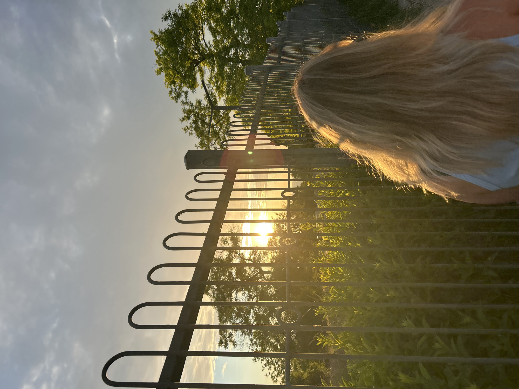 A rear view medium shot captures a young woman with long, blonde hair from the shoulders up, standing on a path next to a dark metal fence. The fence consists of vertical bars topped with curved finials and has circular decorative elements. The sun, low in the sky and appearing as a bright orb, is visible through the fence, casting a warm golden glow and lens flare. Lush green foliage is seen behind the fence, interspersed with trees. The sky is a soft gradient of pale blue and grey, with scattered clouds. The overall scene suggests an outdoor location, possibly a park or a viewpoint, during either sunrise or sunset.