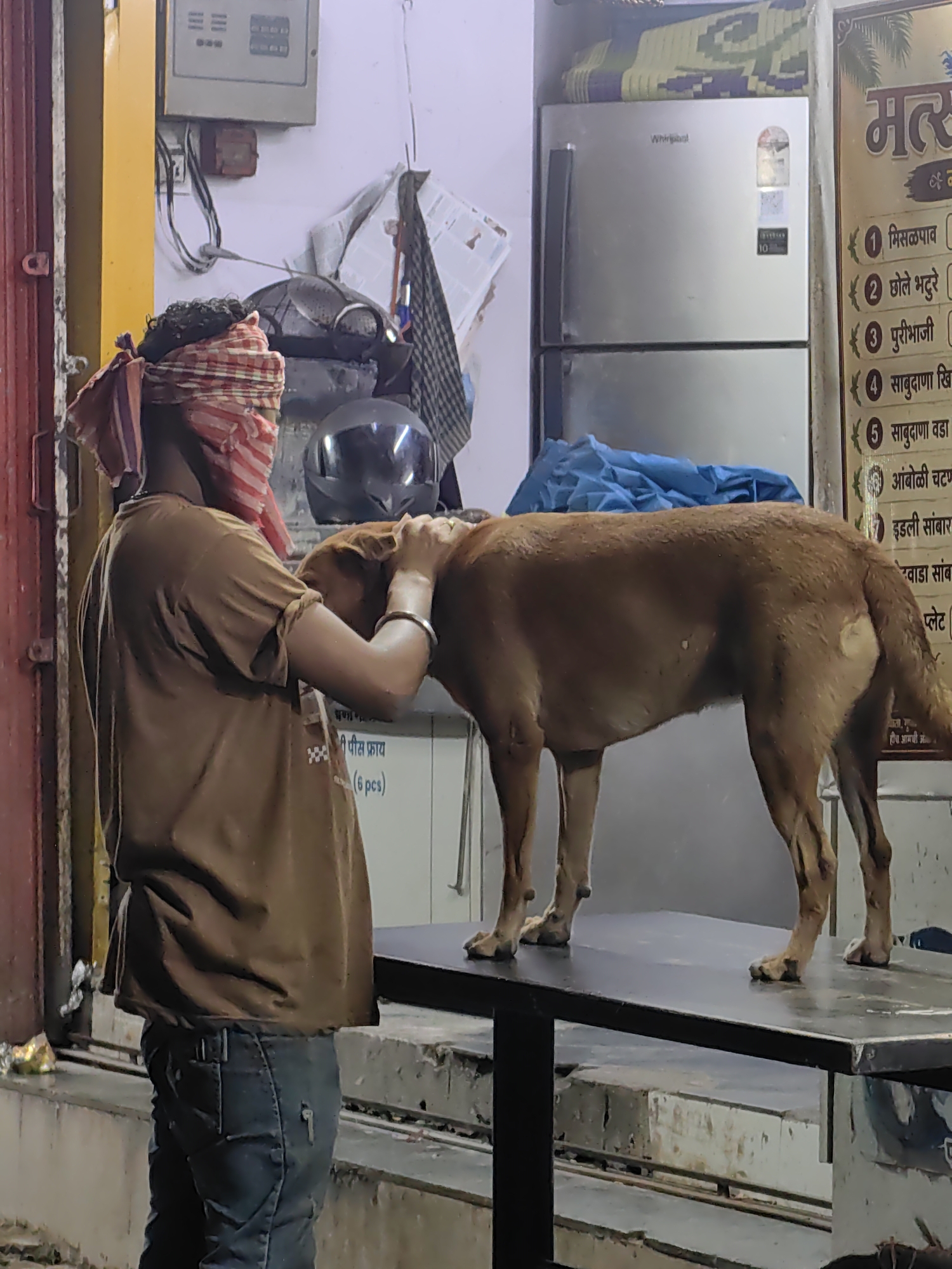 The image depicts a man with his eyes covered by a red and white cloth, leaning over a brown dog that is standing on a dark, flat surface, possibly a table. The man's hand is gently placed on the dog's head. He is wearing a brown t-shirt and dark pants. A black helmet is visible behind the man. The background shows a silver refrigerator, an electrical panel on the wall, and a sign with text in an Indian language, likely Marathi. The presence of the sign and the style of the refrigerator suggest an urban setting in India, potentially a shop or an eatery. The lighting appears to be artificial, indicating the scene might be indoors or an outdoor area at night.