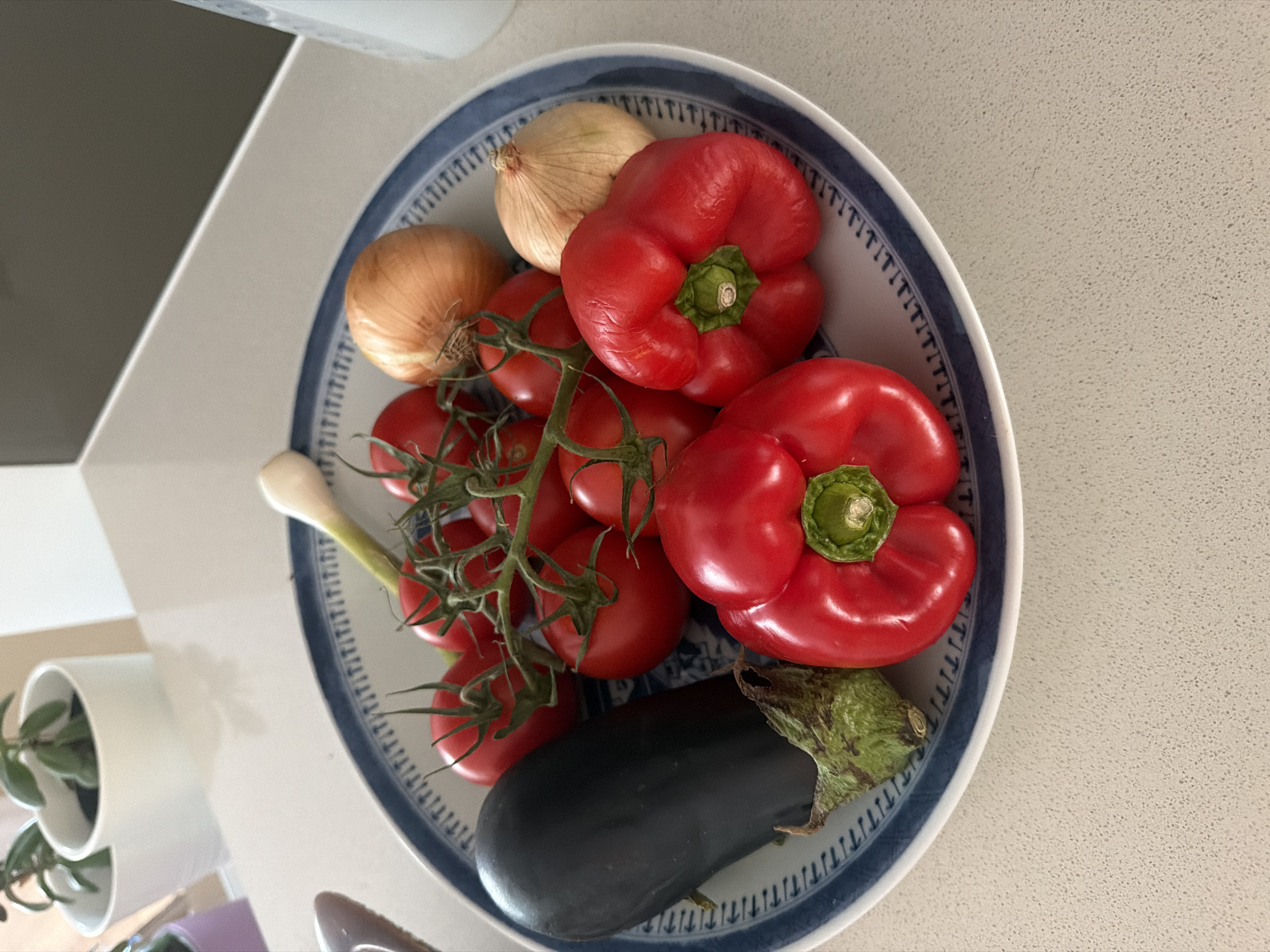 A close-up, eye-level shot captures a blue and white patterned plate filled with fresh vegetables on a speckled countertop. The plate is overflowing with an assortment of vibrant produce: a dark purple eggplant lies on the left side, its stem and cap a contrasting green. To its right, a cluster of bright red cherry tomatoes are still attached to their vine. Two large, round red bell peppers are prominently displayed, one in the foreground and another slightly behind it. Two light brown onions, one partially obscured, sit towards the back of the plate. A single stalk of white and green scallion is nestled among the tomatoes, its green top curving upwards. The background is blurred, showing a hint of a grey surface and two white planters with green plants. The lighting is natural and bright, casting soft shadows.