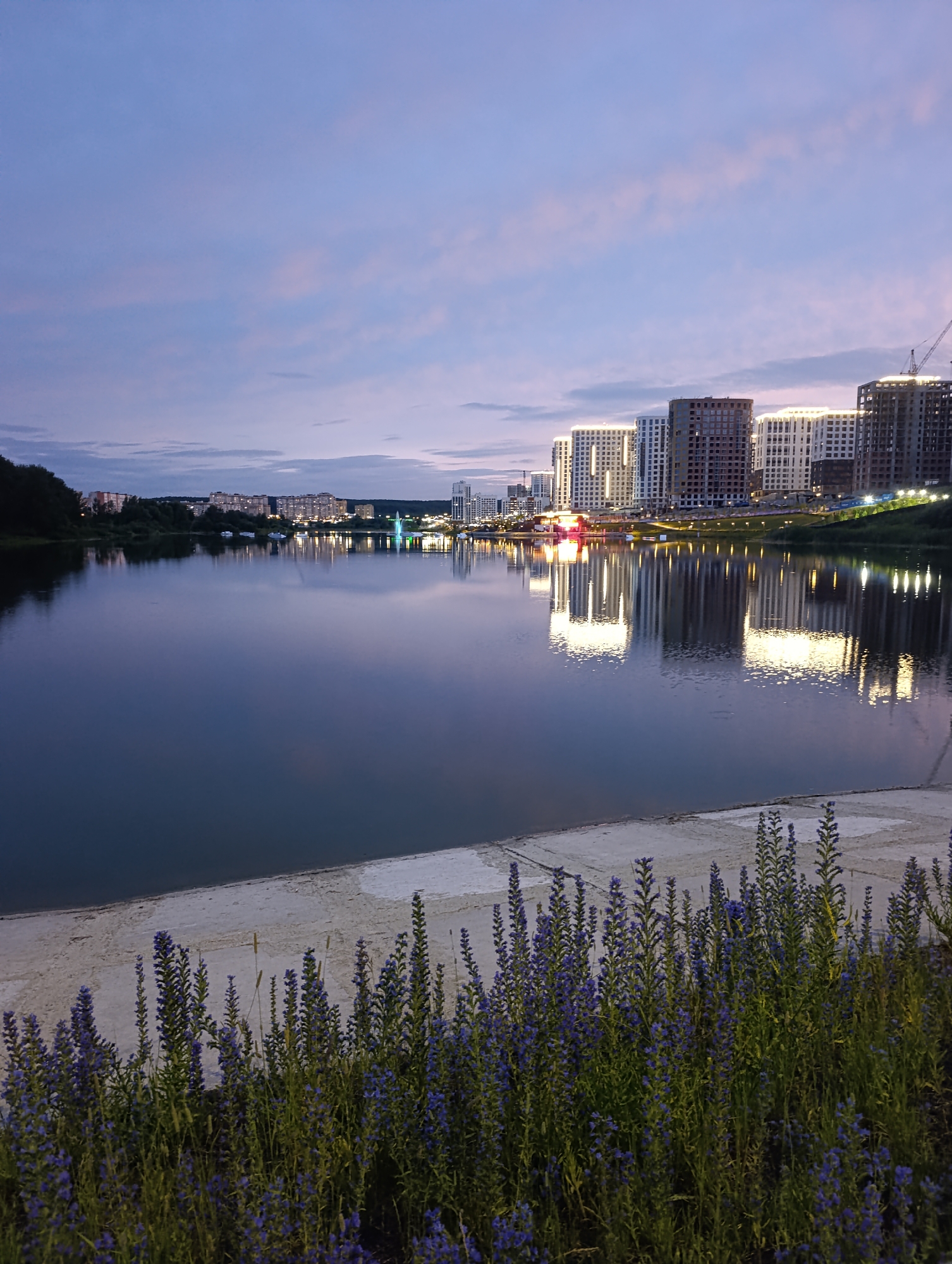 The image depicts a twilight scene at the Sura River embankment in Penza, Russia. The sky is a gradient of pale pinks and blues, with wispy clouds. Across the calm water, a modern cityscape is illuminated by warm lights. Tall residential buildings, some still under construction with visible cranes, line the riverbank. Reflections of these buildings shimmer on the water's surface. In the foreground, a concrete embankment is bordered by lush greenery and purple wildflowers, which are in sharp focus. A few small boats are visible on the river, and a fountain with blue lights adds to the illuminated cityscape. The overall atmosphere is serene and picturesque.