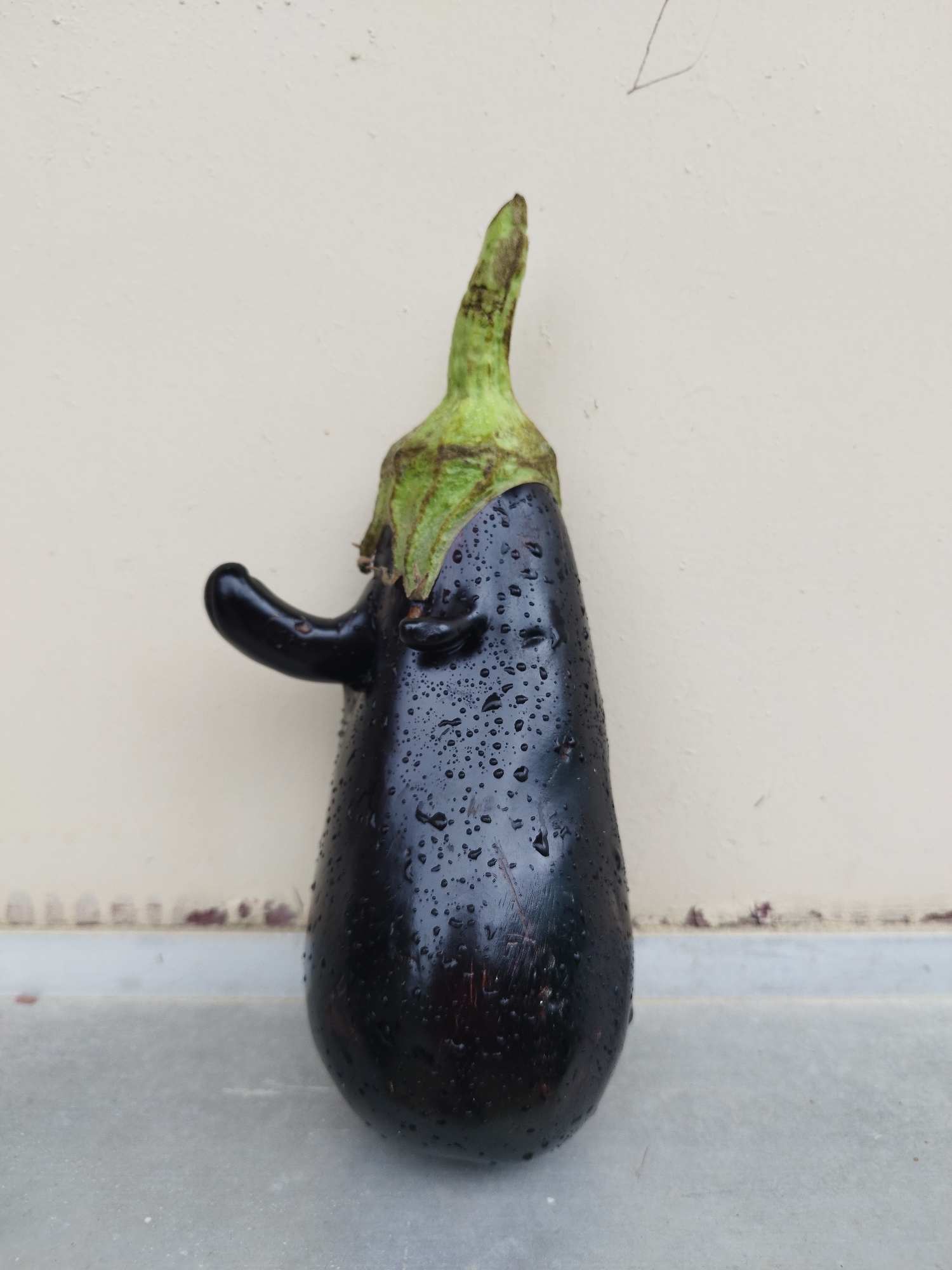 An eggplant, glistening with water droplets, stands upright against a beige wall with a grey tiled floor in the foreground. The eggplant has a green stem and a curved protrusion on its left side, resembling an arm. The scene appears to be outdoors, possibly in a courtyard or balcony area, given the wall and tiled flooring. The lighting suggests it is daytime. The image is a close-up, focusing solely on the eggplant. No specific location in Bucharest, Romania can be identified from the image.