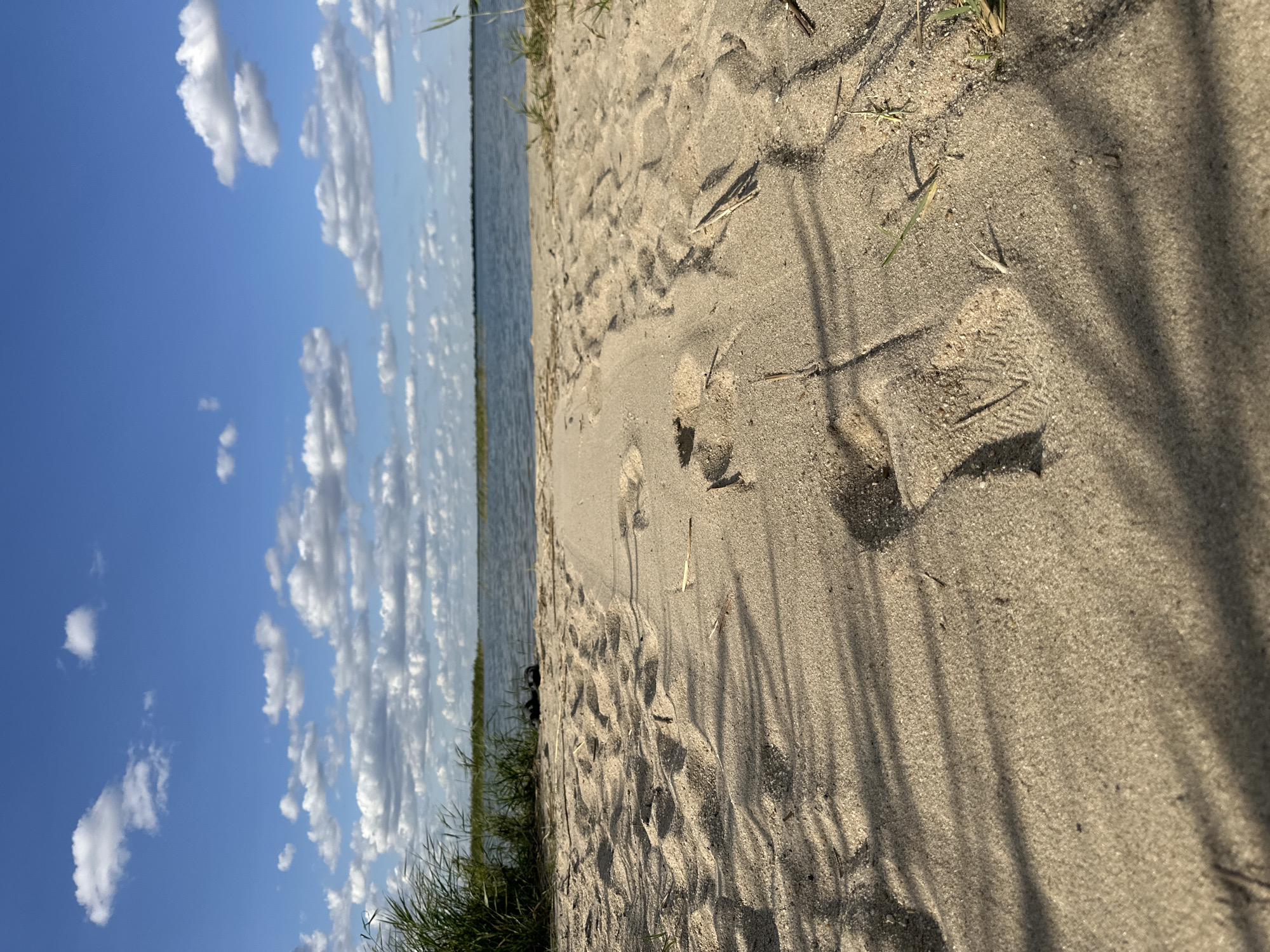A low-angle shot of a sandy beach on a sunny day. Footprints are visible in the sand, leading towards the water. In the distance, the calm blue water meets a hazy horizon, with scattered white clouds against a bright blue sky. Some sparse green grass grows along the edge of the beach.
