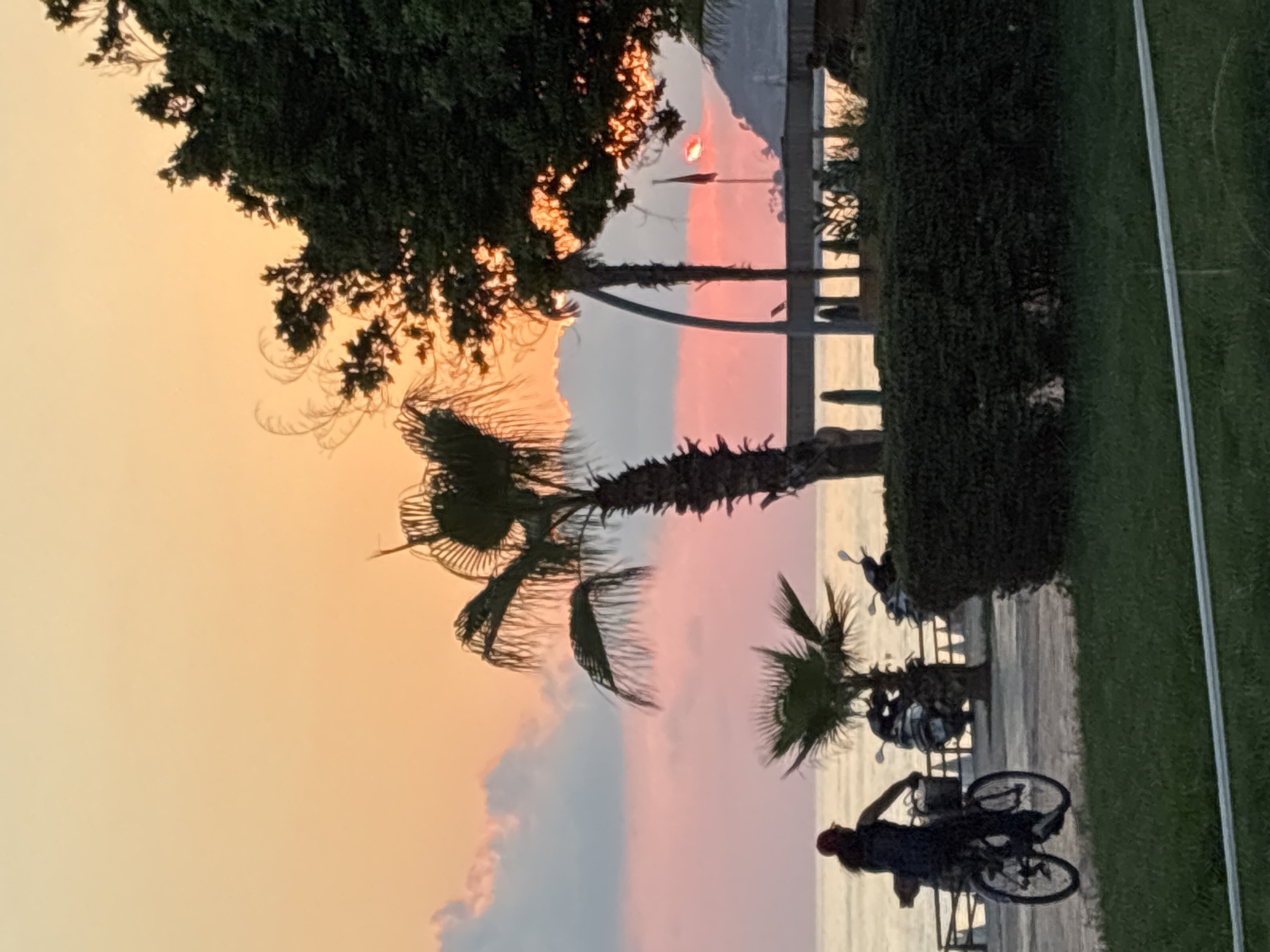 A silhouette of a person riding a bicycle with a basket is seen from the back, moving from left to right on a paved path. The person is wearing a red cap and dark clothing. Behind the cyclist, two parked motorbikes are visible. The scene is set against a twilight sky with soft hues of orange and pink, indicating a sunset. Several palm trees are scattered throughout the frame, with one large palm tree to the right dominating the background. In the distance, the sea is visible, reflecting the sky's colors. A low, green hedge runs across the middle ground, separating the path from what appears to be a grassy area in the foreground. A structure with pillars and a roof is partially visible beyond the hedge, along the waterfront. A flag on a pole is also visible in the distance. The overall atmosphere suggests a peaceful evening in a coastal location, possibly Alanya, Turkey, given the presence of palm trees and the seaside setting.