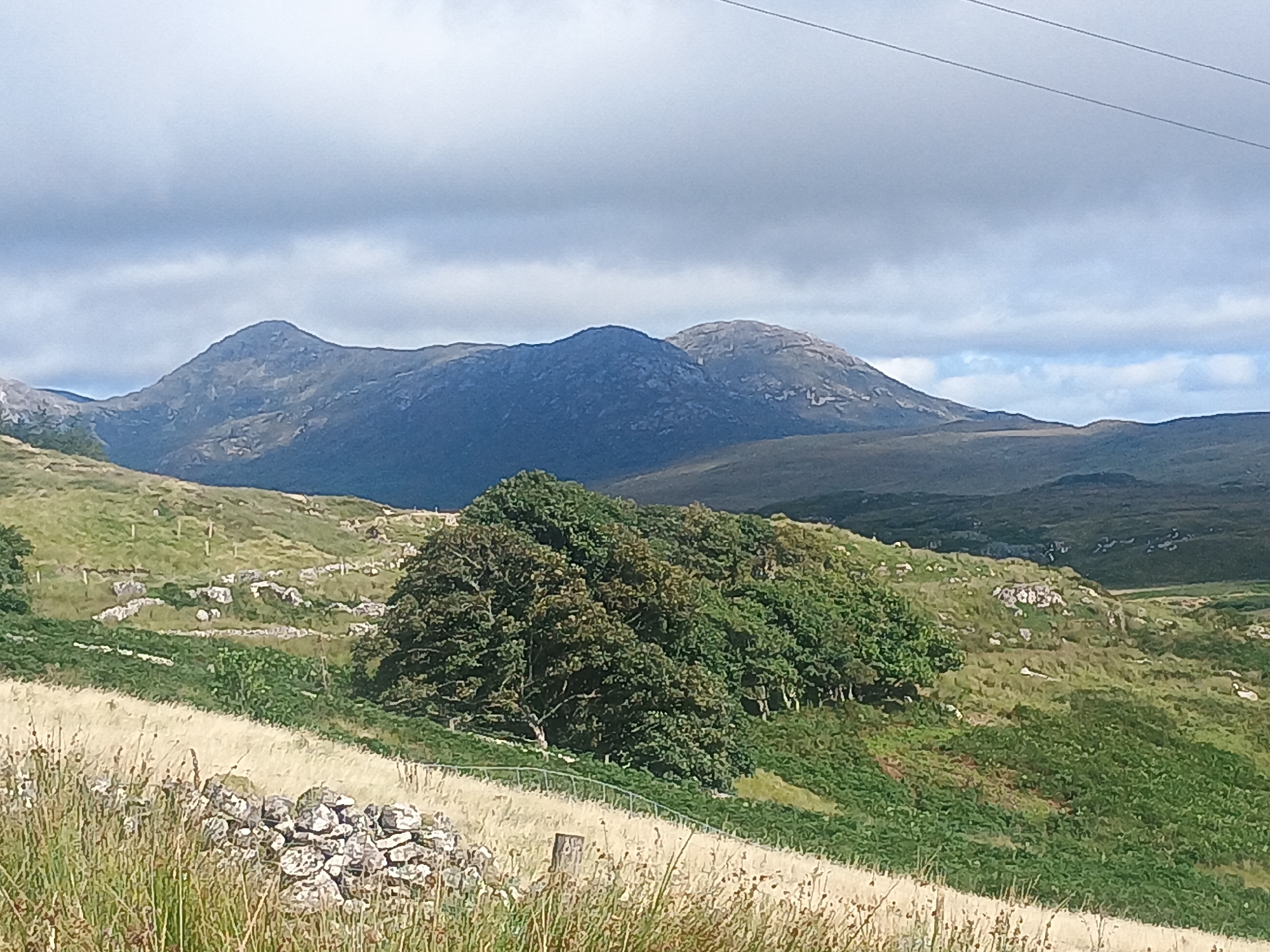 A wide-angle, eye-level shot captures a rural landscape under a cloudy sky. In the distance, a range of rugged, dark blue mountains with lighter, rocky peaks dominates the horizon. In the mid-ground, rolling green hills are dotted with scattered white rocks and stone walls. A dense cluster of dark green trees with brown trunks sits on a hillside. In the foreground, a dry, yellow grass field slopes upwards, bordered by a low, rough stone wall. A single wooden fence post is visible in the field. Overhead, two thin, dark power lines stretch across the sky. The lighting suggests it is daytime, with diffuse light filtering through the clouds. The scene is devoid of any people or animals.