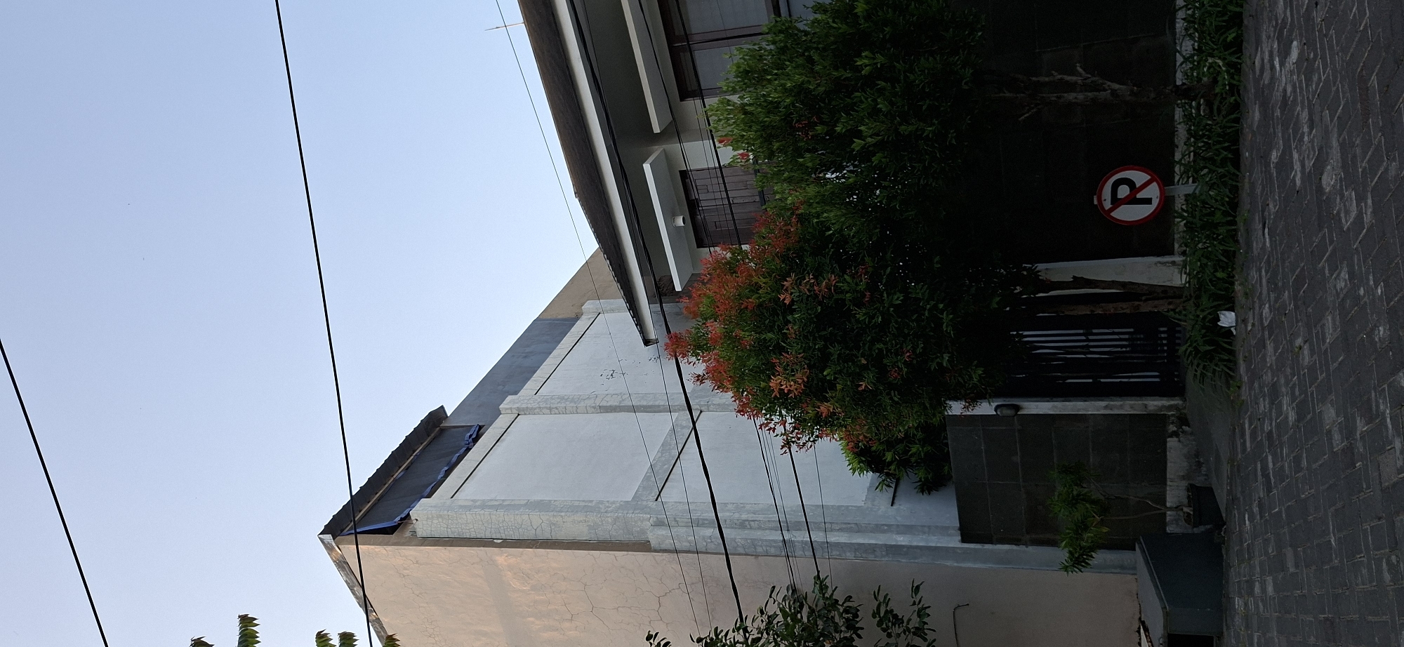 The image shows a street view in Surabaya, Indonesia, with a focus on a two-story building on the right and a taller, unfinished building on the left. The sky is clear and blue. In front of the building on the right, there are two trees, one with red-tinged leaves and the other with green leaves. A "No Parking" sign is visible in front of the right building. The ground is paved with dark gray bricks, and a dark-colored gate is visible behind the trees. Overhead power lines cross the scene. The building on the left appears to have a light-colored textured wall and a section covered with blue tarp.
