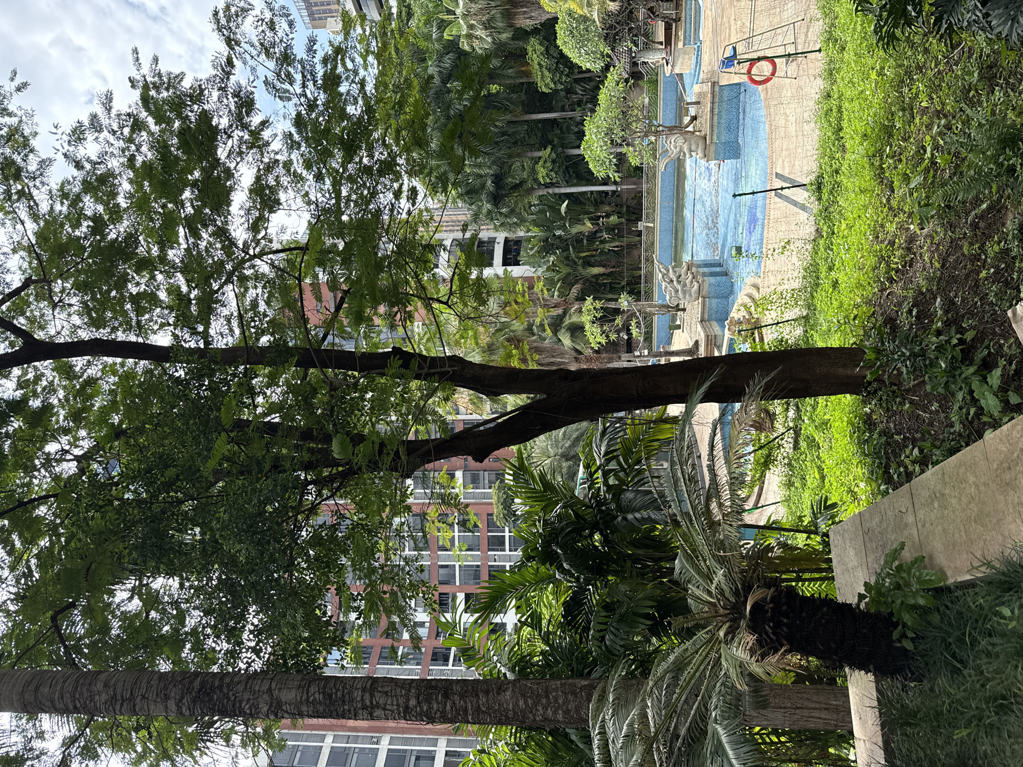 The image shows an outdoor swimming pool area surrounded by lush greenery and tall buildings. In the foreground, a palm tree and other tropical plants are visible, with a stone ledge to the left. A large tree trunk stands in the center. Beyond the foliage, a blue tiled swimming pool is partially visible, featuring decorative elephant statues on its edge and a lifeguard chair with a life preserver. In the background, modern apartment buildings with numerous windows rise above the trees, indicating an urban setting. The sky above is partly cloudy. The scene appears to be located in the city of Haizhu District, China, given the architecture and vegetation.