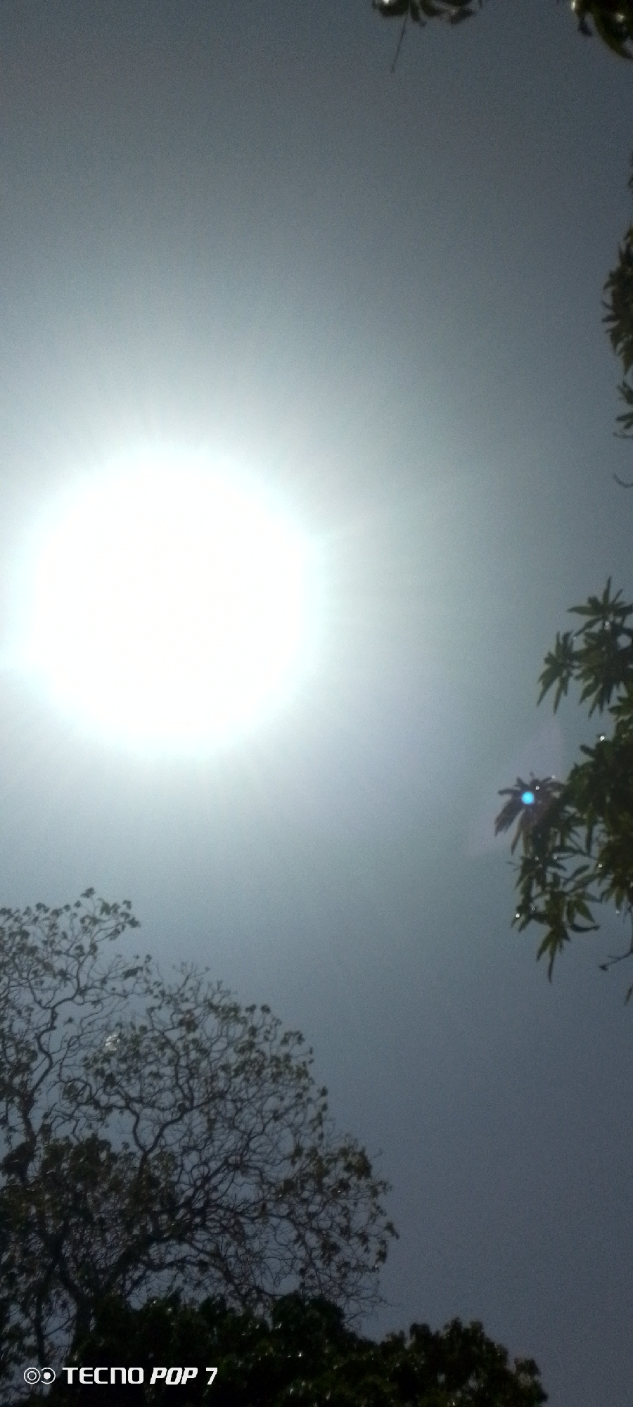 The image captures a view of the sky with the sun shining brightly, partially obscured by atmospheric haze. Tree branches with foliage are visible in the foreground, framing the sky. The scene appears to be outdoors, with natural lighting. The lower left corner includes a "TECNO POP 7" watermark. There are no people visible in the frame. There is no information in the image to confirm the location in the city of Altagracia, Venezuela.