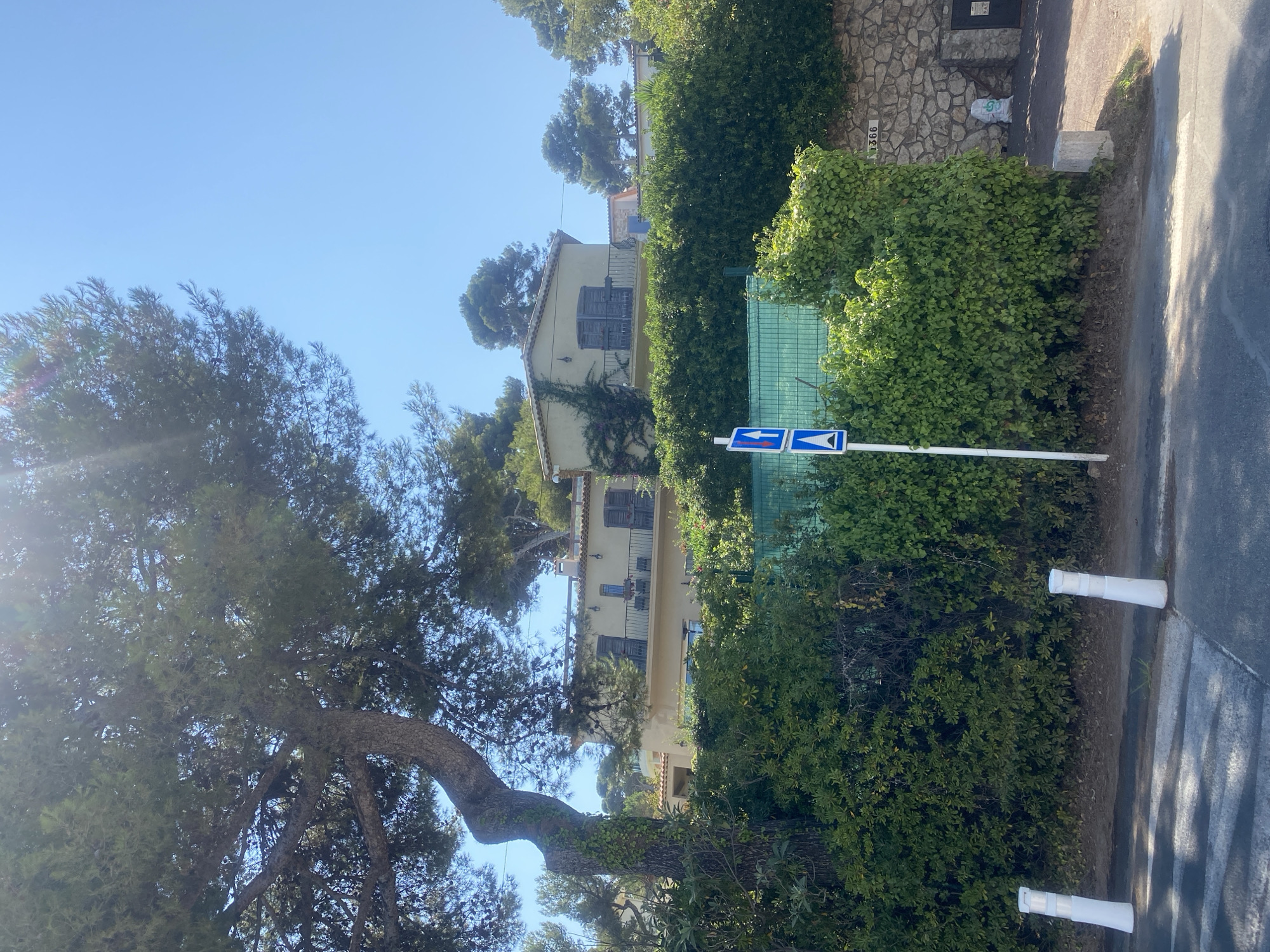 A low-angle, medium shot captures a sun-drenched scene in Antibes, France. The foreground is dominated by a paved road with white lane markings and a pedestrian crossing. Two white, cylindrical bollards stand on the roadside. Behind the road, a dense green hedge forms a visual barrier.
In the midground, a light-colored building with a tiled roof sits behind the hedge. The building features balconies with dark shutters and visible windows. A large tree with a gnarled trunk and dense foliage extends from the left side of the frame, partially obscuring the building and reaching towards the bright blue sky. A tall white post with two blue and white directional signs is visible in front of the hedge.
The background reveals more trees and the clear blue sky. A stone wall and a section of a driveway are visible to the right of the hedge. A white bag, possibly containing building materials, rests against the stone wall near a dark doorway. A house number, "1366," is affixed to the stone wall above the doorway. The overall impression is of a residential area bathed in bright sunlight.
