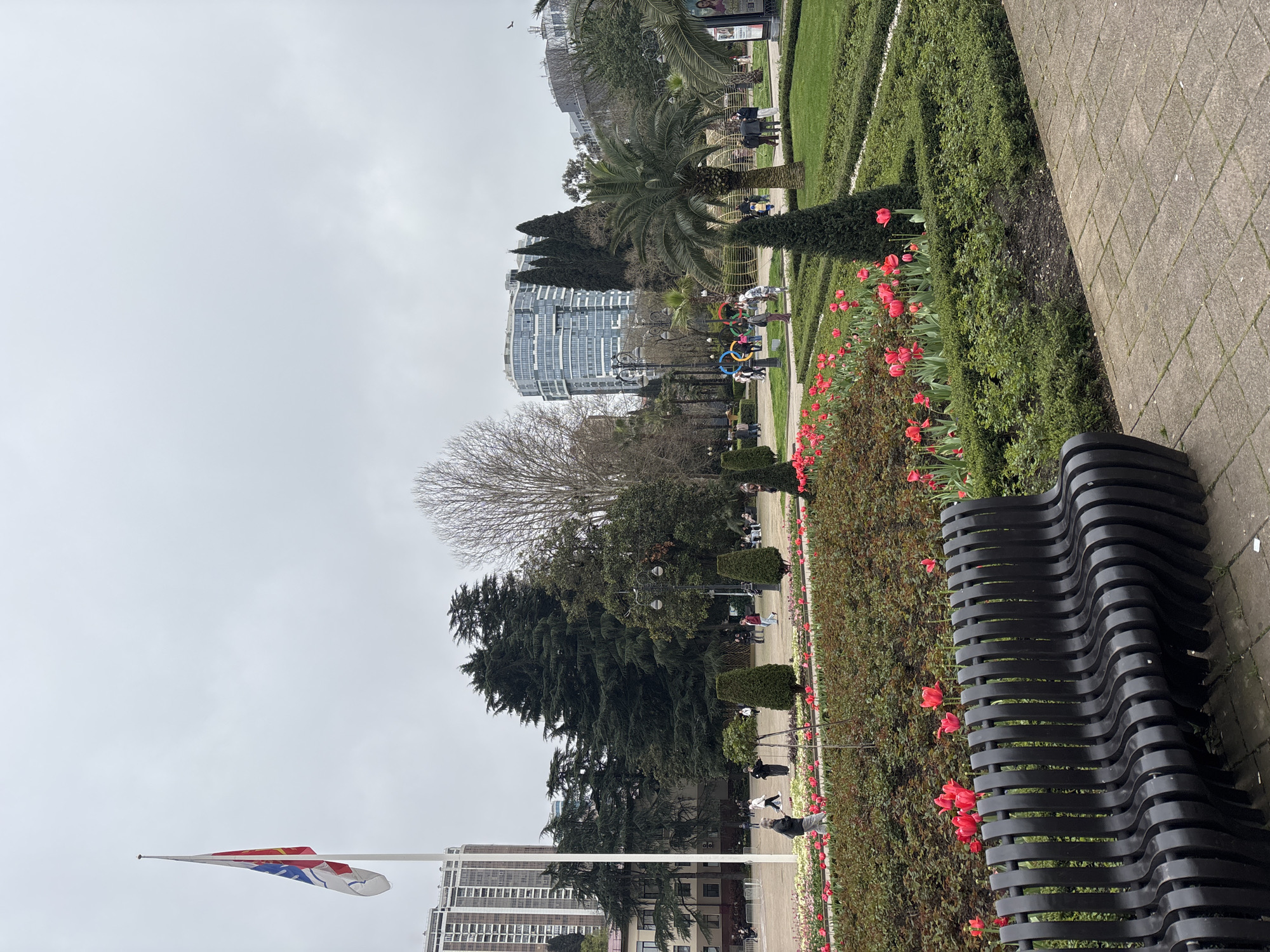 The image depicts a view within a park or garden, likely located in Sochi, Russia. Visible are well-maintained flowerbeds, particularly showcasing red tulips, and manicured hedges. A modern-style black bench is prominent in the foreground. People are seen walking and sitting on benches in the background. In the background, a modern, curving high-rise building is visible, along with various trees, including a palm tree. A flag is displayed on a pole in the foreground, and another building is visible in the background. The sky is overcast.