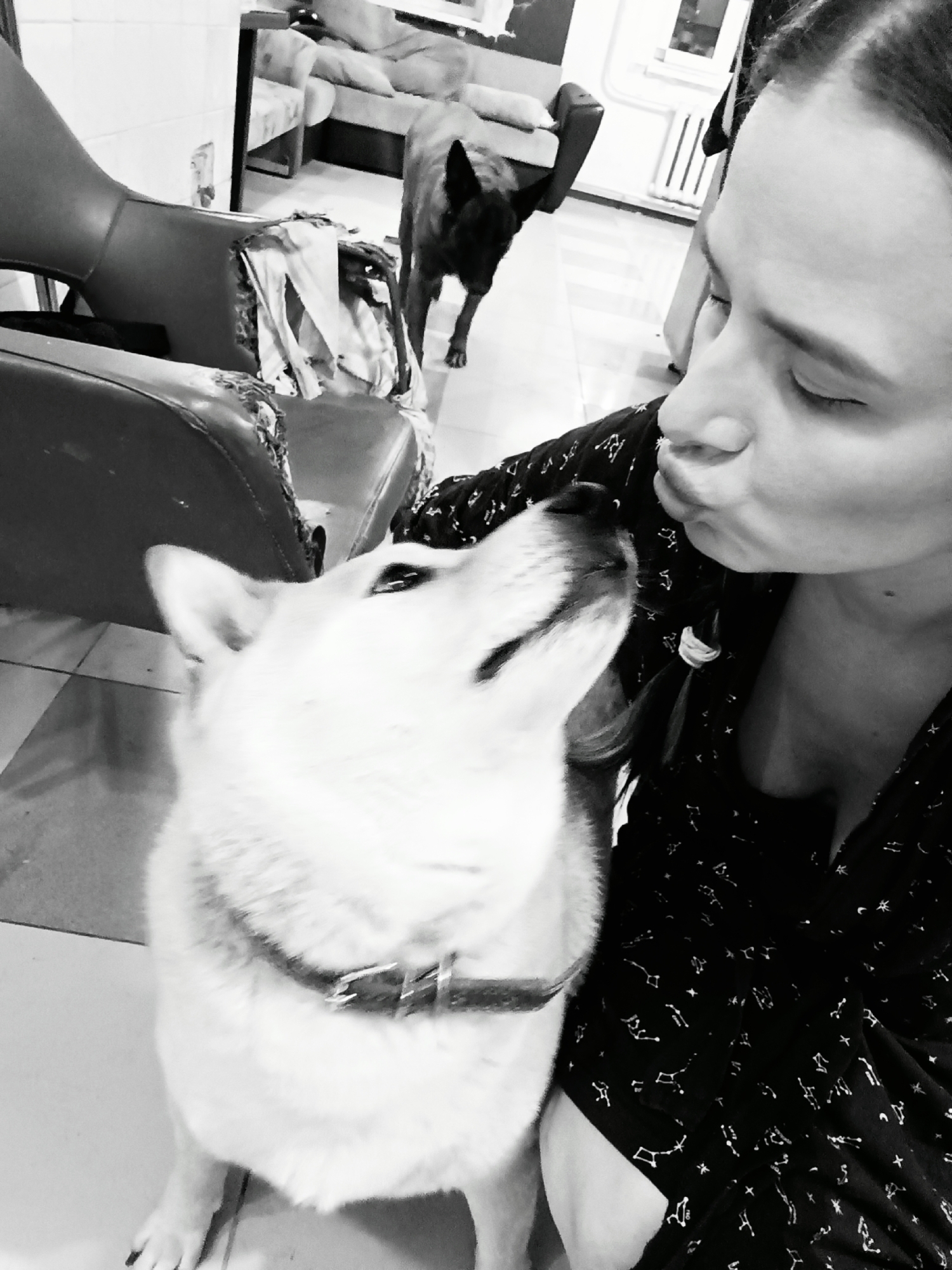 A monochromatic medium shot captures a woman appearing to kiss a light-colored dog, likely a Shiba Inu, wearing a collar. The woman has her eyes closed and her lips pursed. She wears a dark shirt patterned with star constellations. The dog is looking up at the woman. In the background, another darker-colored dog stands further away, seemingly observing the interaction. A damaged leather chair is visible to the left. The background suggests an interior setting, possibly a home. The specific location is not evident within the visual elements of the photo to determine if it is in Rusalevka, Russia.