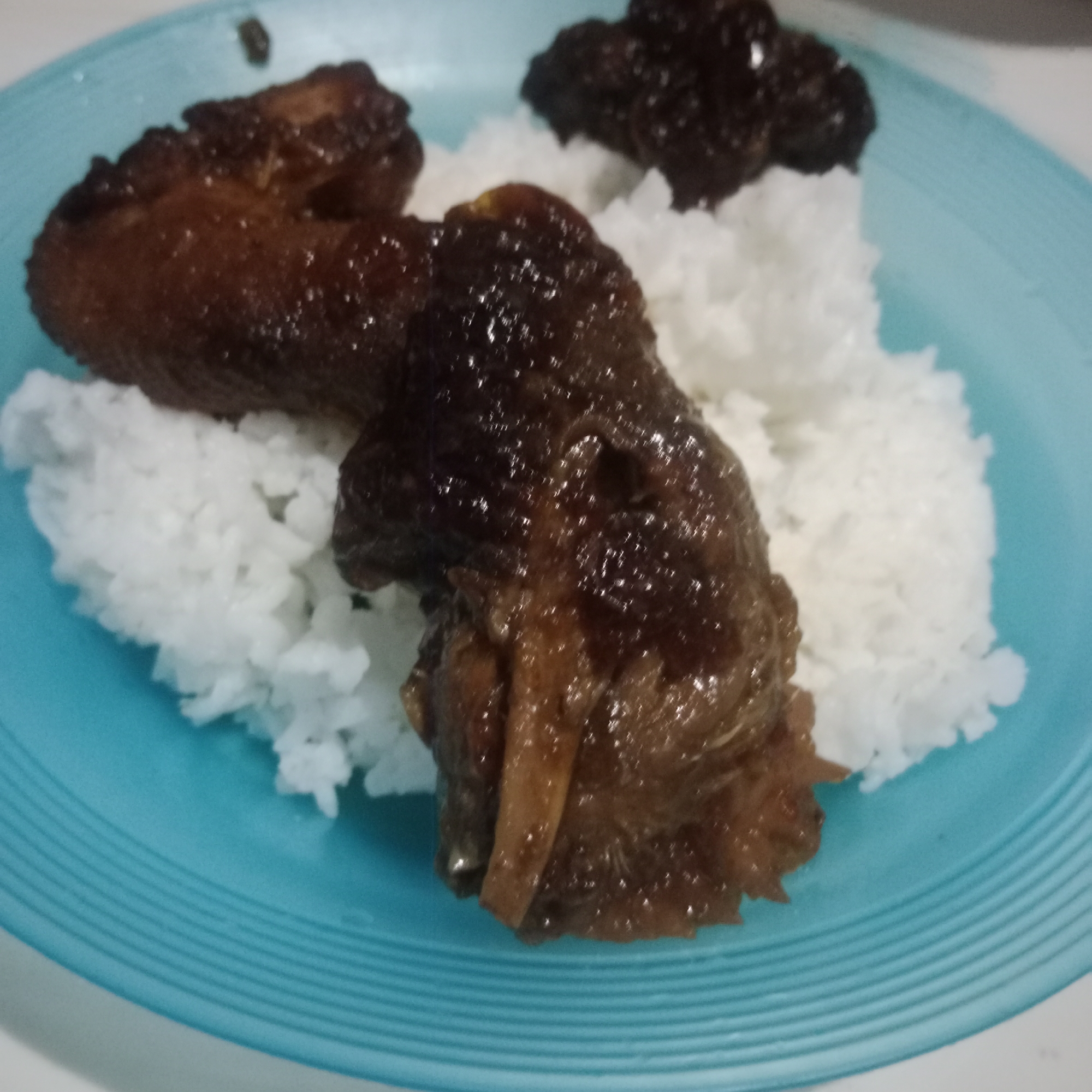 A close-up, high-angle shot shows a blue, ribbed plate filled with white rice topped with dark, glossy pieces of chicken. The chicken appears to be braised or glazed with a sauce, and it is arranged in two distinct piles on the rice. The lighting in the image is dim, creating a slightly grainy texture. The background is out of focus, but hints at a countertop and possibly other dishes. The image was taken in Tegowanu Kulon, Indonesia.