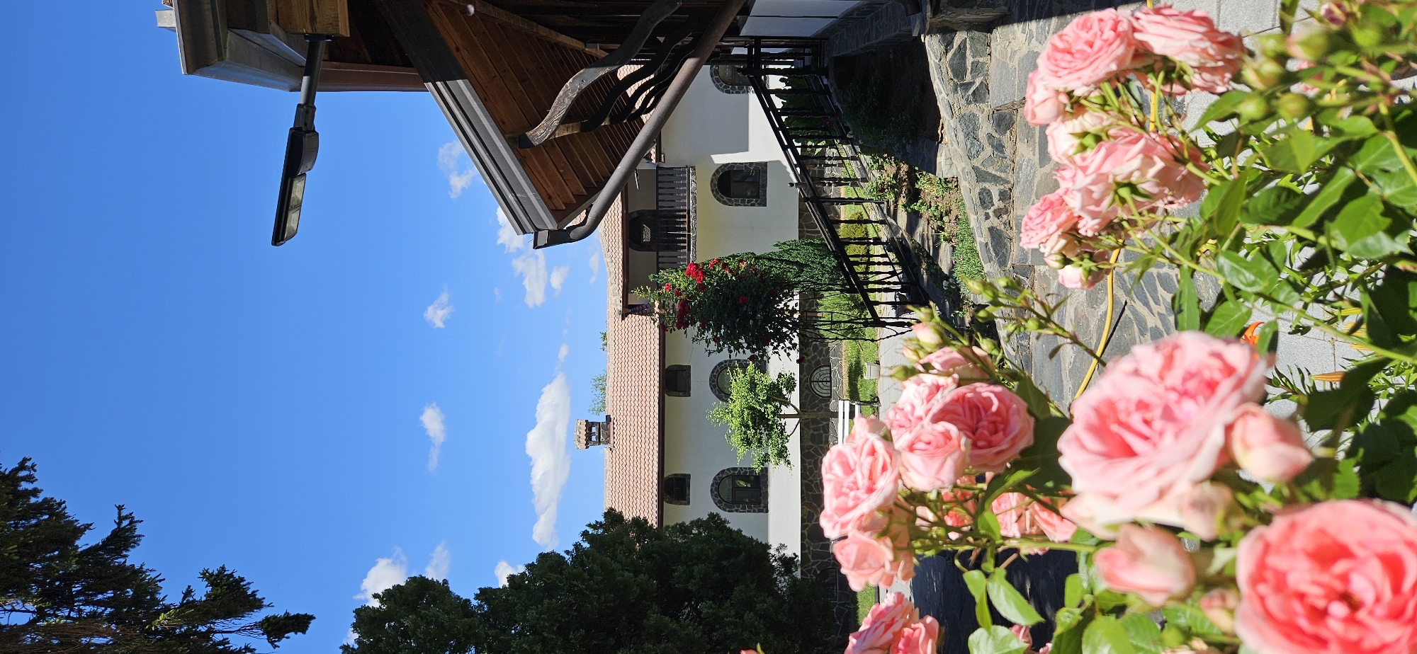 In Ovchartsi, Bulgaria, a serene outdoor scene unfolds with a focus on blooming pink roses in the foreground, their delicate petals vibrant against lush green foliage. Behind the roses, a pathway of grey stone slabs leads to a building with a light-colored facade and a terracotta-tiled roof. This building features arched windows with stone surrounds and a balcony on the upper level, accented by a dark wooden railing. To the left, a tall evergreen tree stands prominently, while a smaller, leafy tree is situated in the middle ground. Further to the right, a wooden-roofed structure with dark wooden beams partially obscures the view of the sky, which is a brilliant blue dotted with scattered white clouds. A modern black street lamp is mounted on the side of this structure. The overall environment suggests a well-maintained garden or courtyard, bathed in bright daylight.