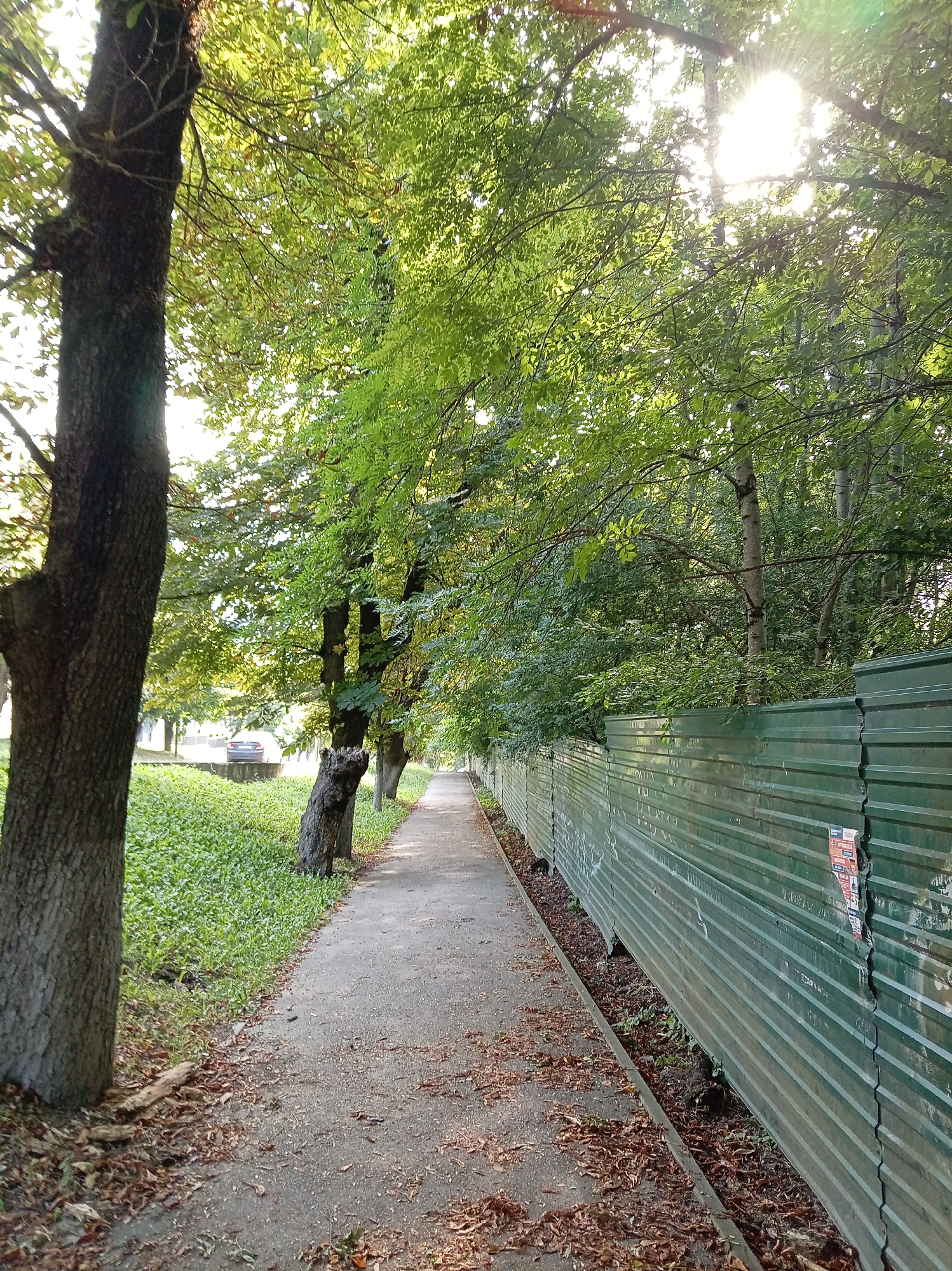 A paved walkway, bordered by a green corrugated metal fence and a grassy area with trees, is depicted in this outdoor scene. Sunlight filters through the lush green foliage of the trees, casting dappled light on the path. Fallen leaves are scattered on the ground. In the distance, a dark-colored car is visible on a road adjacent to the grassy area. A poster is affixed to the fence. The scene appears to be located in a semi-urban or park-like setting in Zheleznovodsk, Russia. There are no people visible in the image.